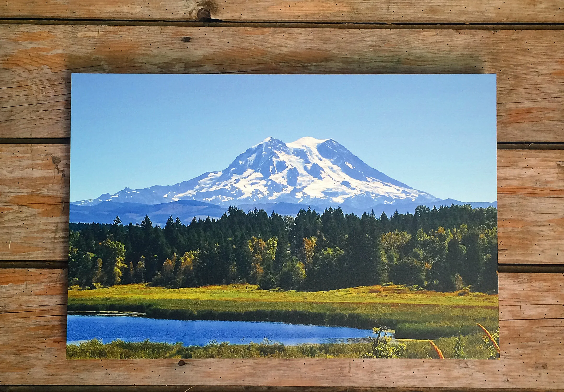 Rainier Ohop.jpg