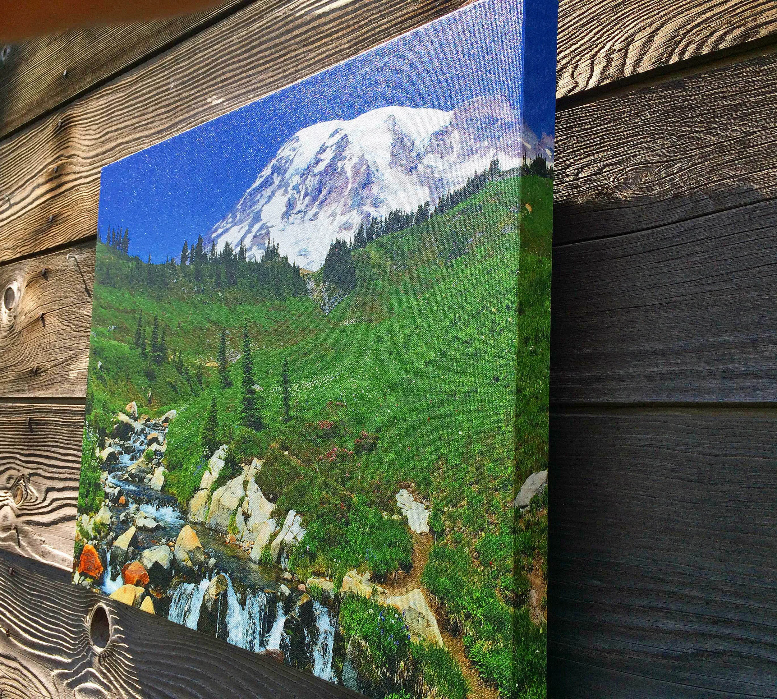 rainierwaterfall3.jpg
