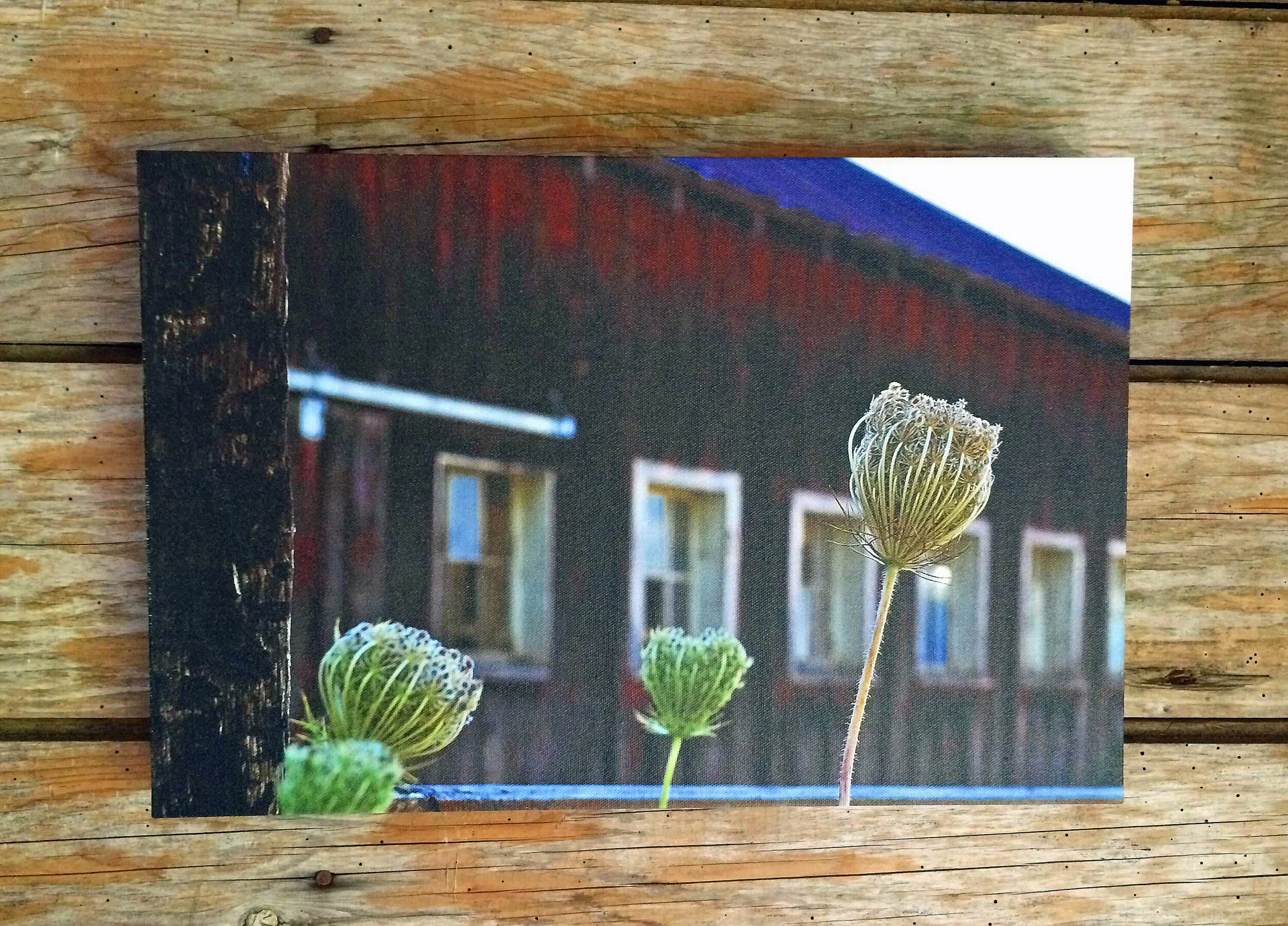 barn.jpg