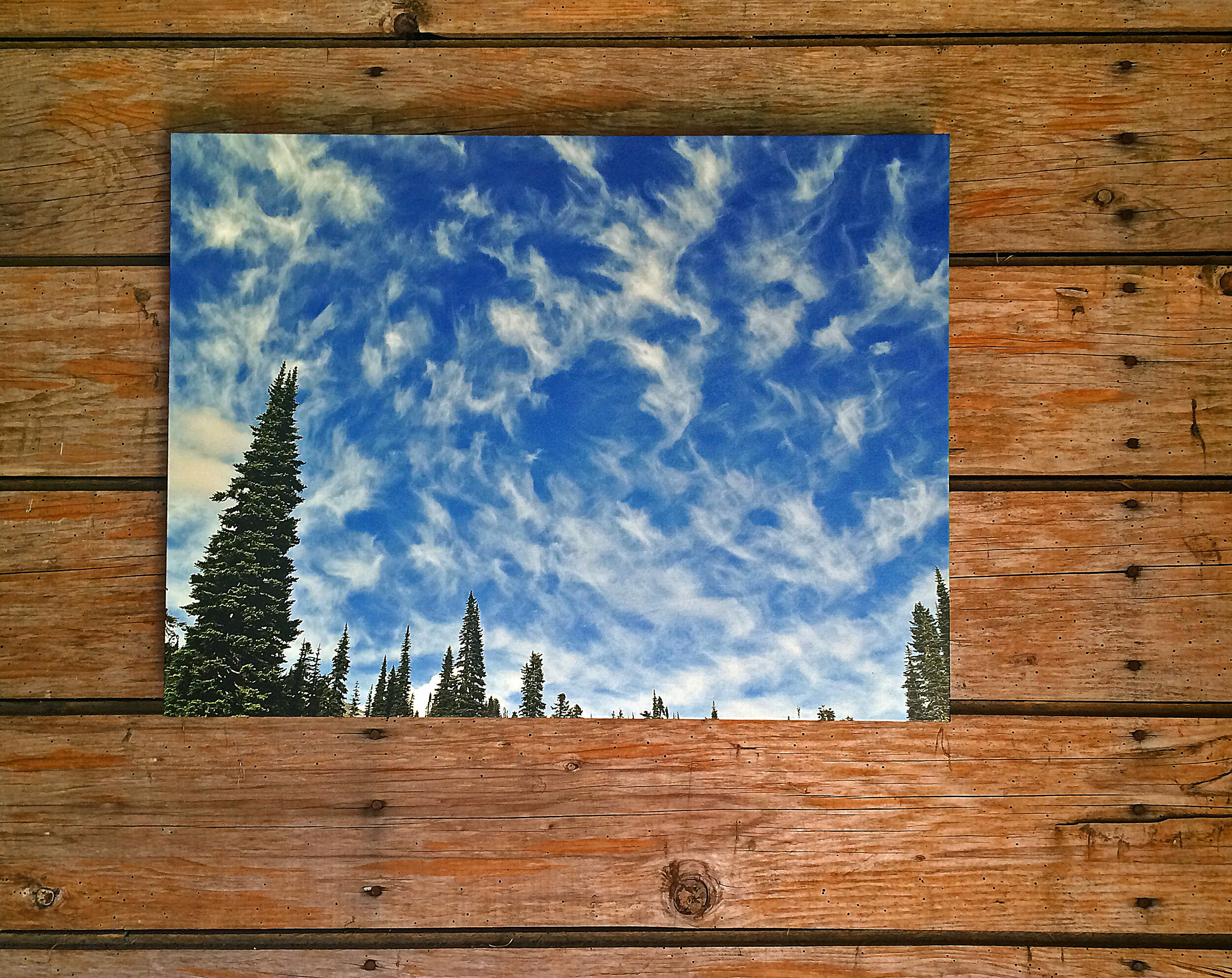 Convention of Angels.jpg