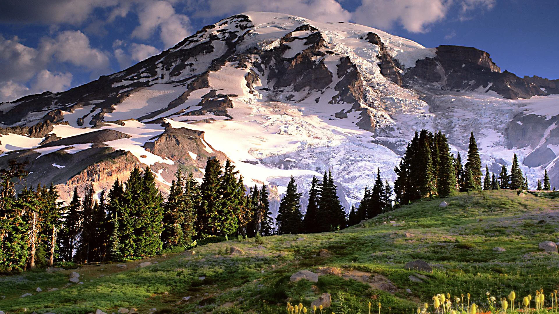 MR031 Rainier Meadow.jpg