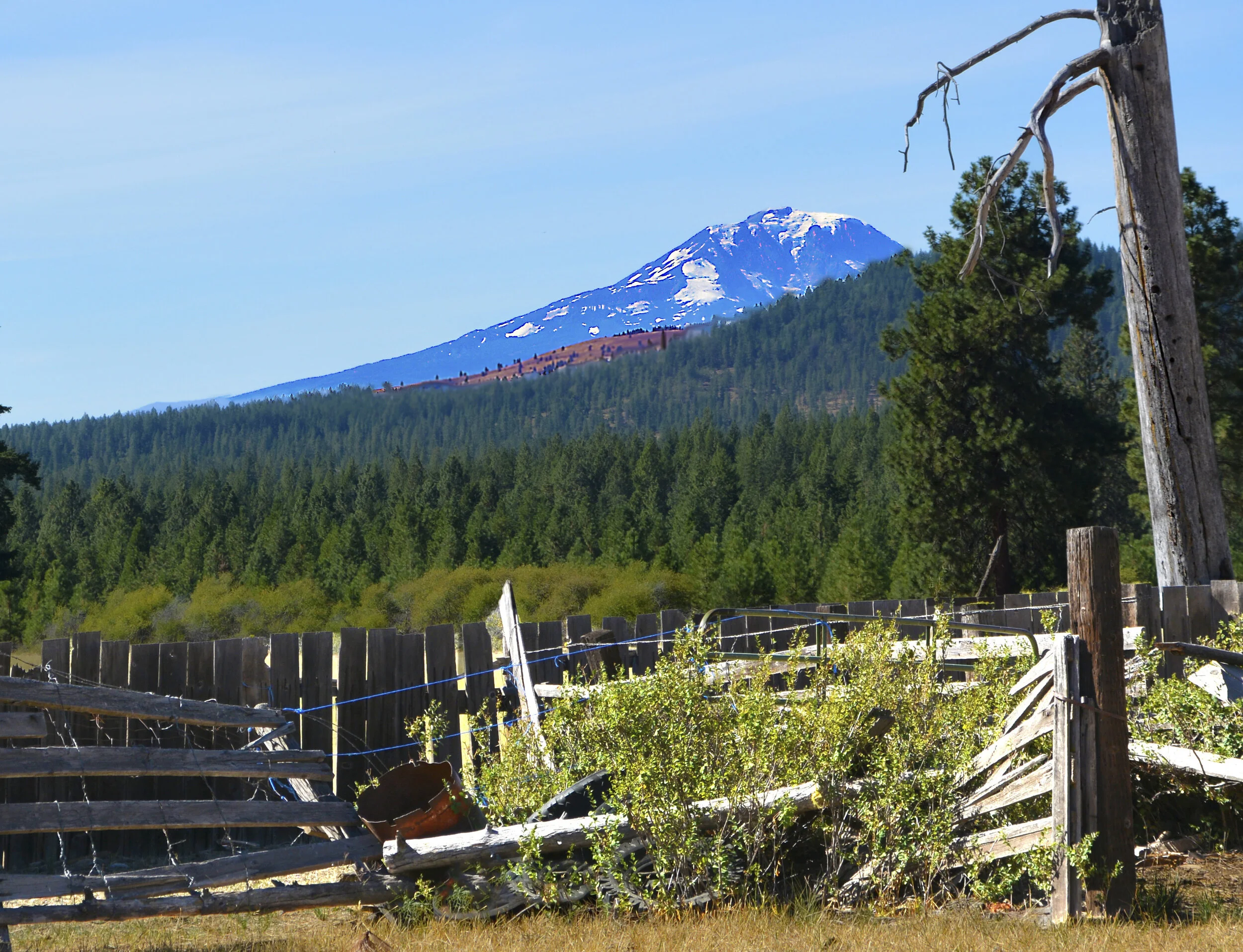 AD012 Goldendale5.jpg