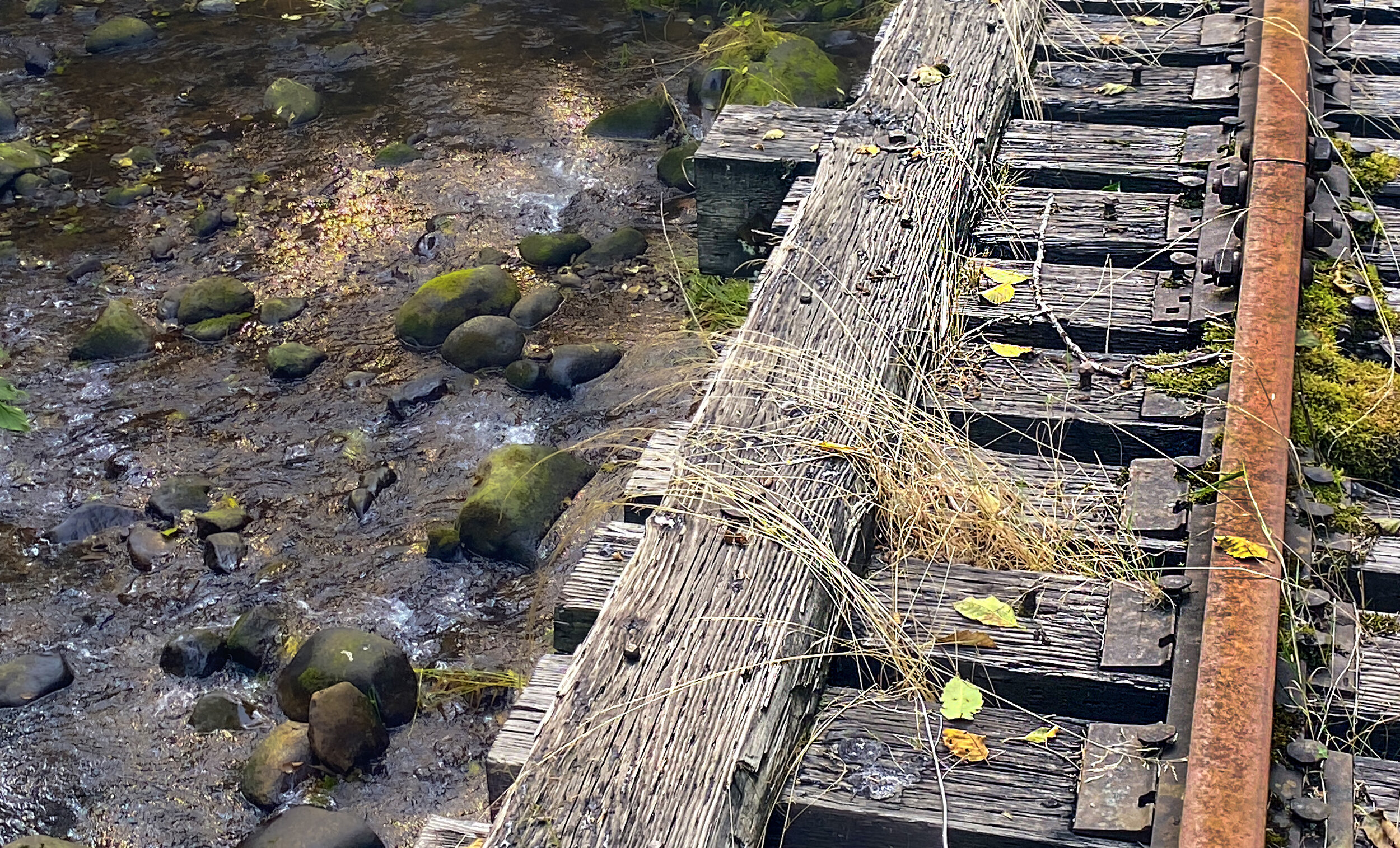 LS026 Trestle and Creek.jpg