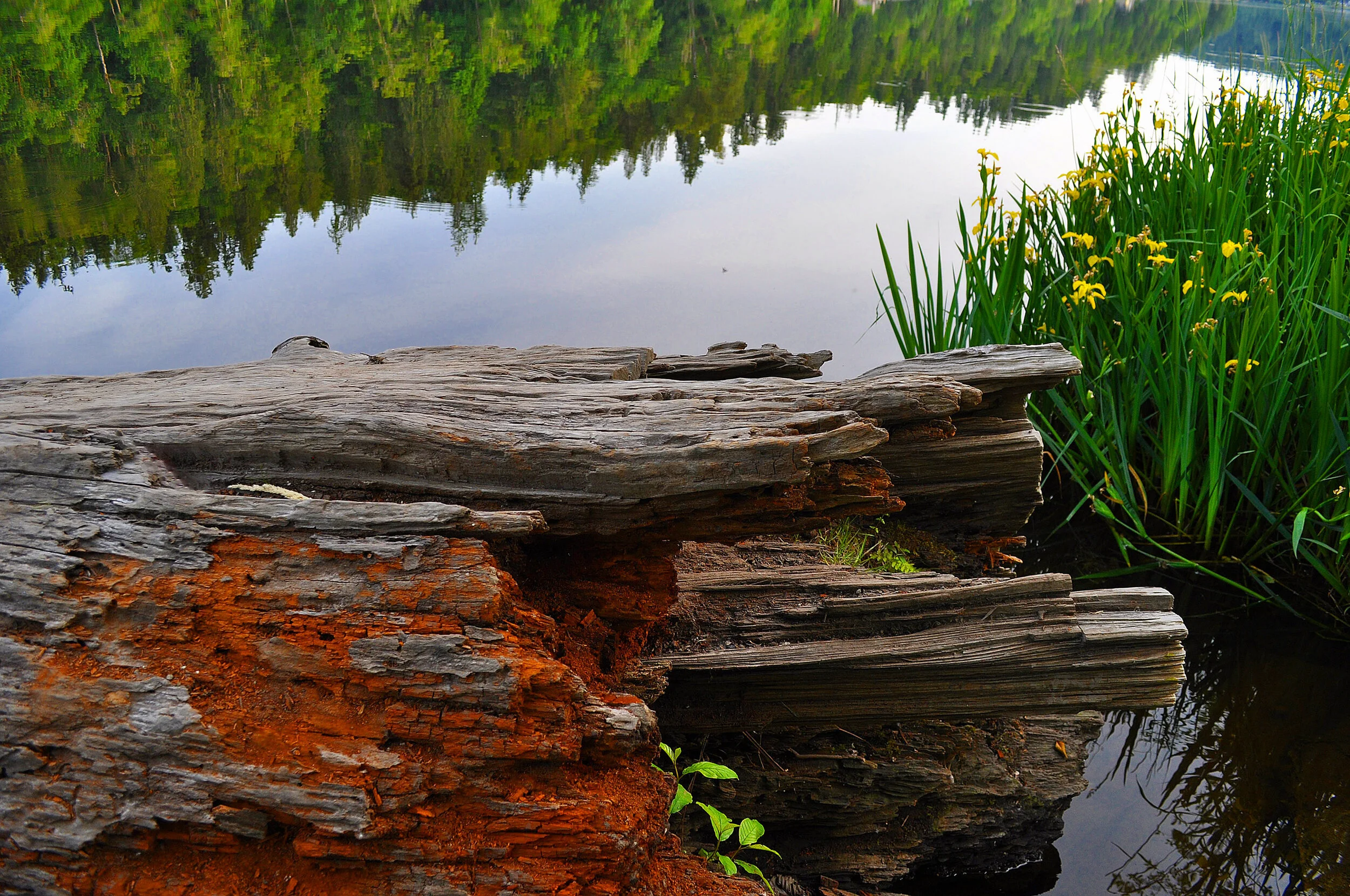Ohop Lake2-1.jpg
