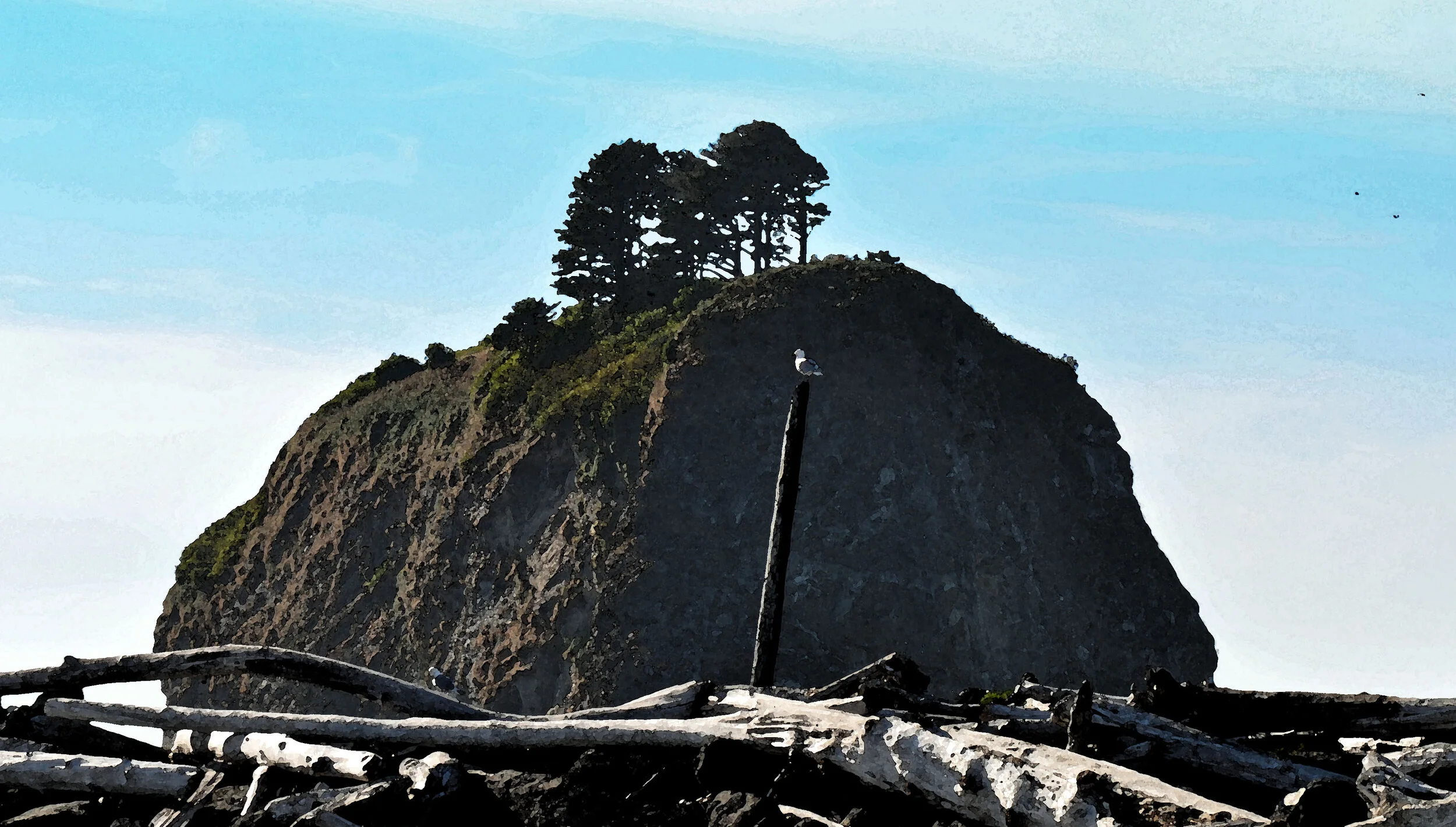 WAS012 La Push Rock.jpg