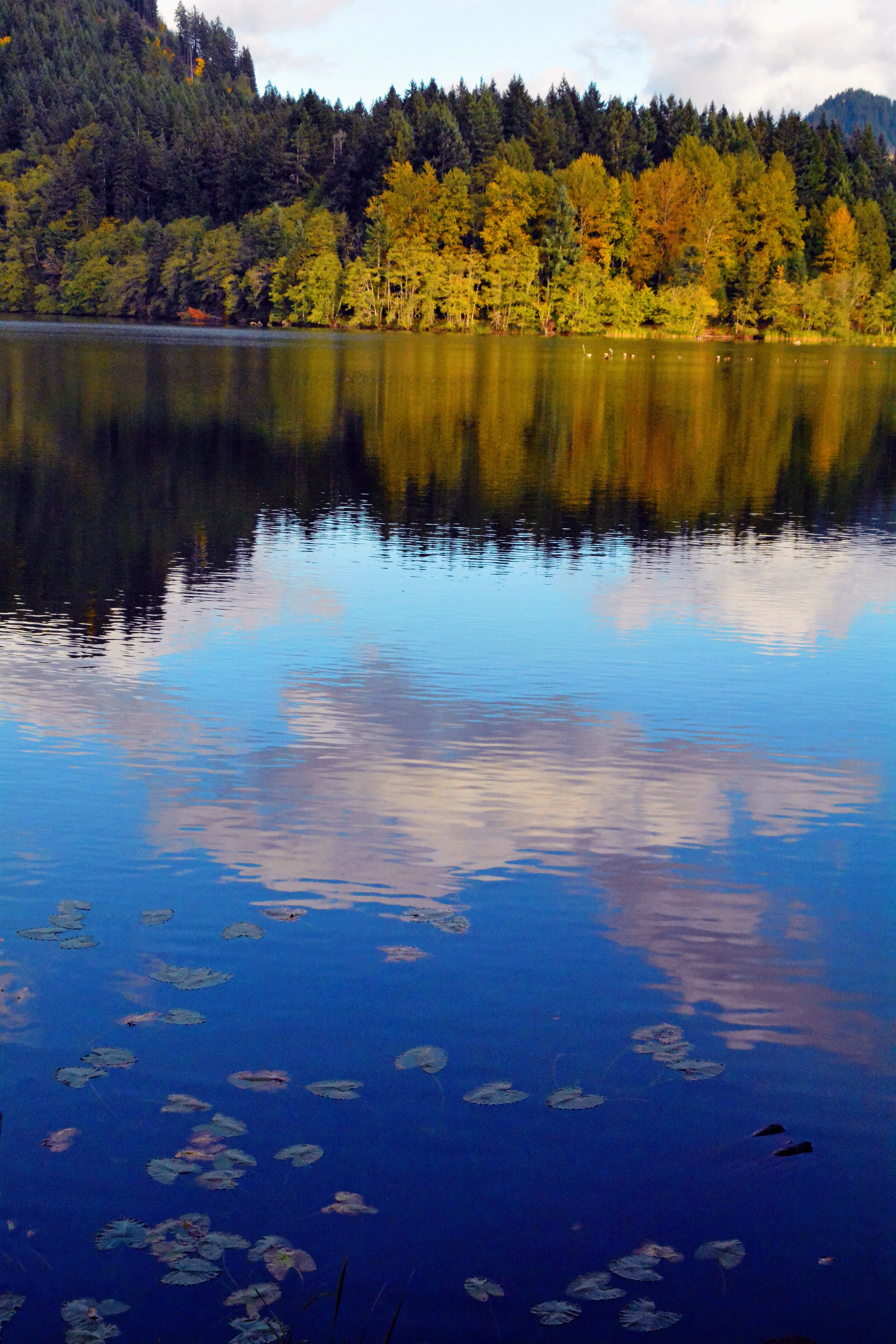 WAS049 Reflection.jpg