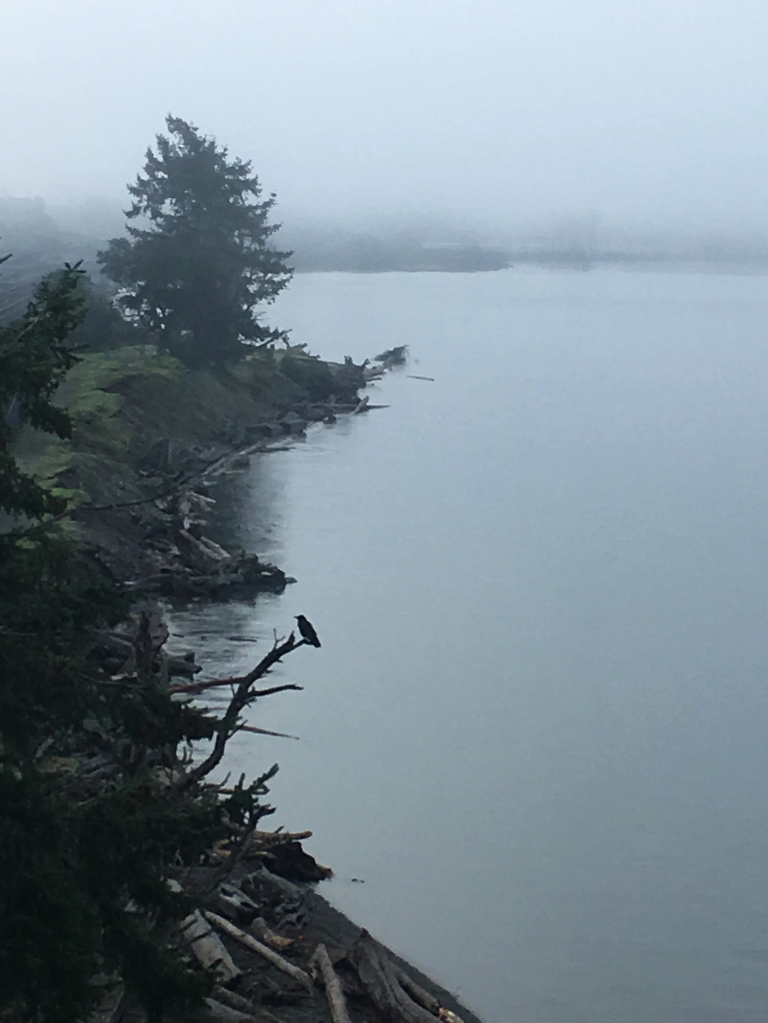 WAW009 Chambers Creek.jpg