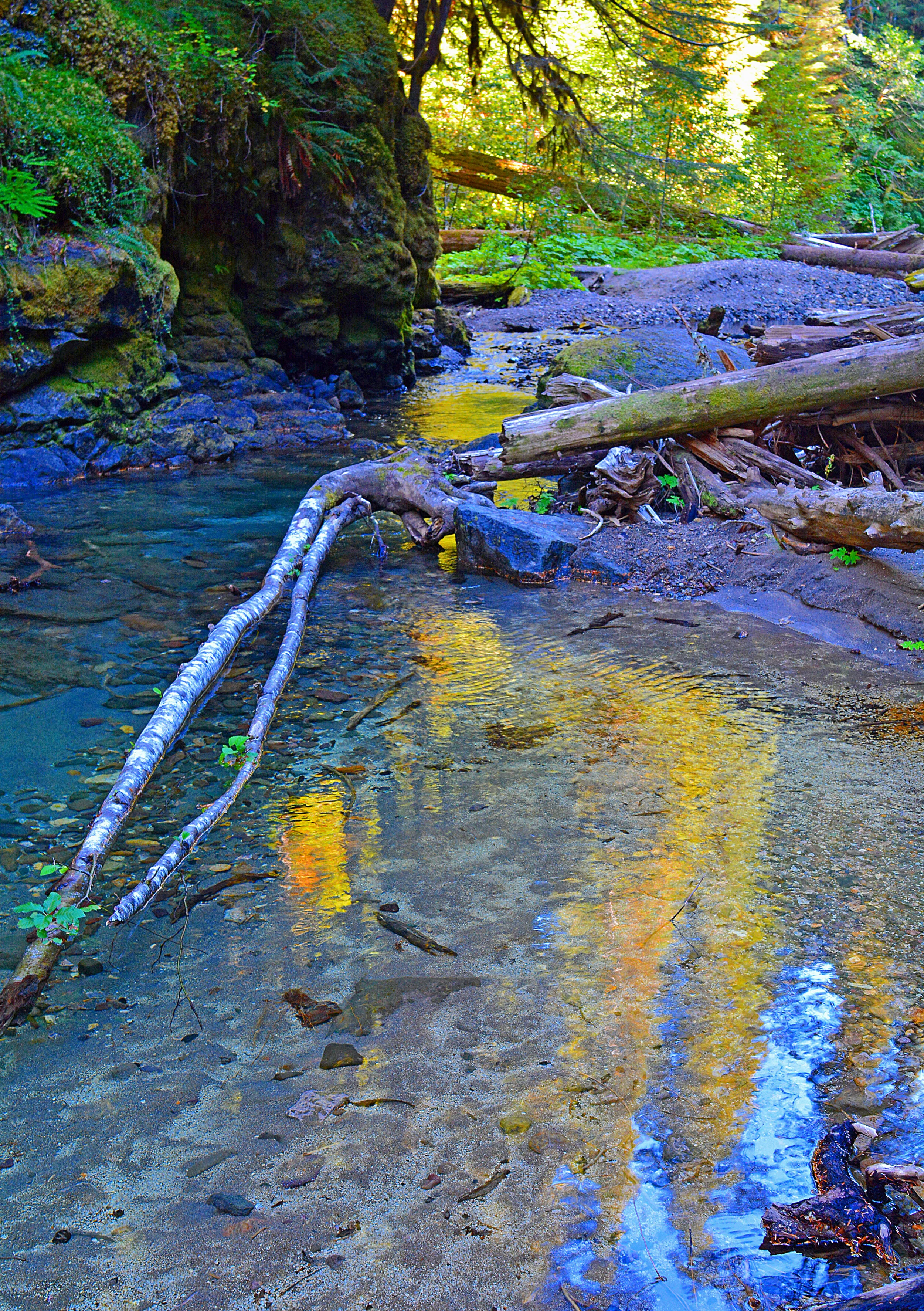 WAS032 Iron Creek Reflection.jpg