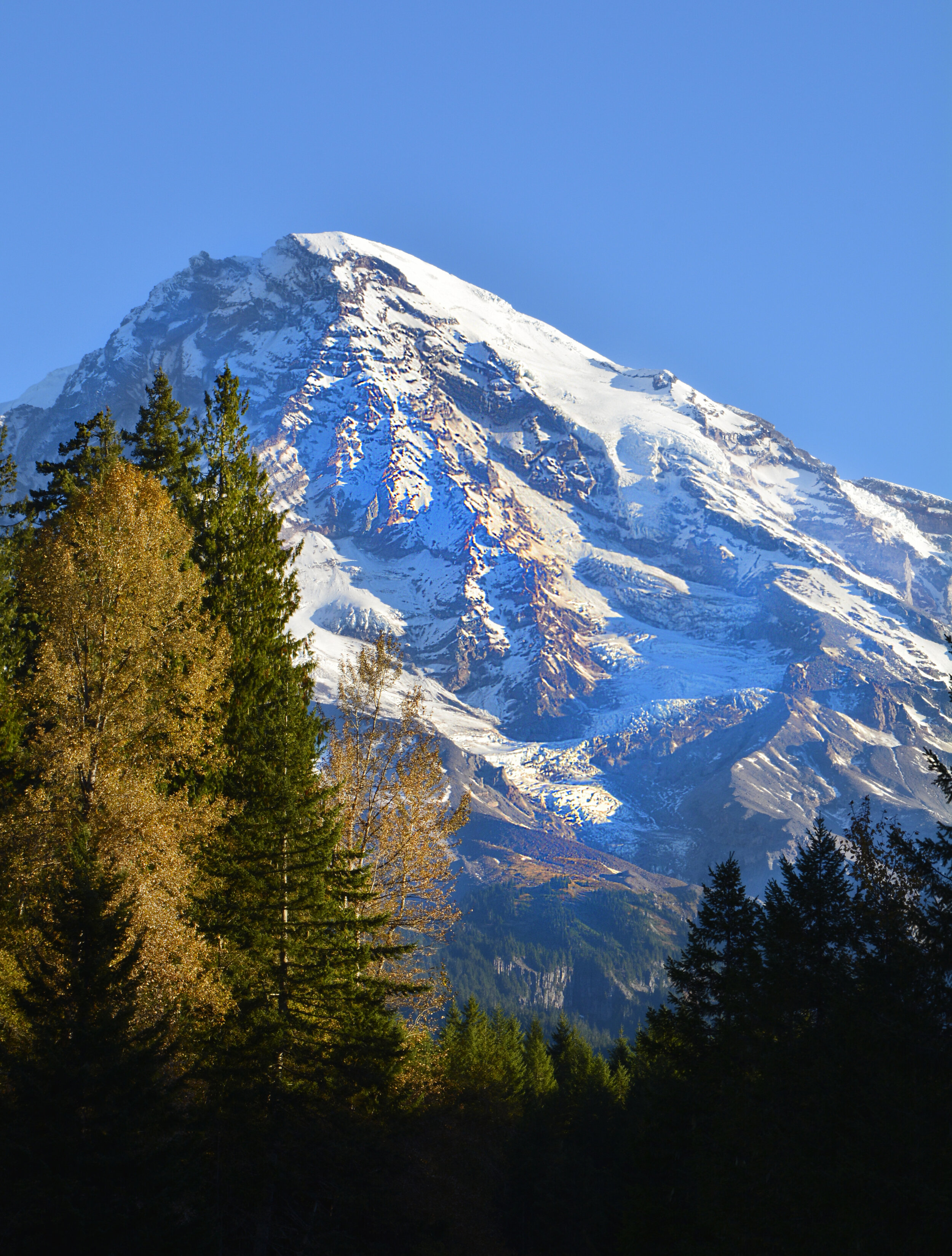 Mount Rainier from Cougar Creek