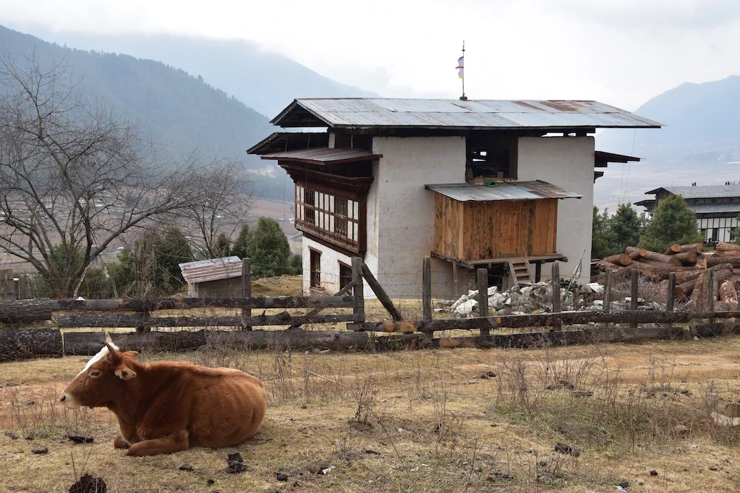 trail head and hotel.jpg