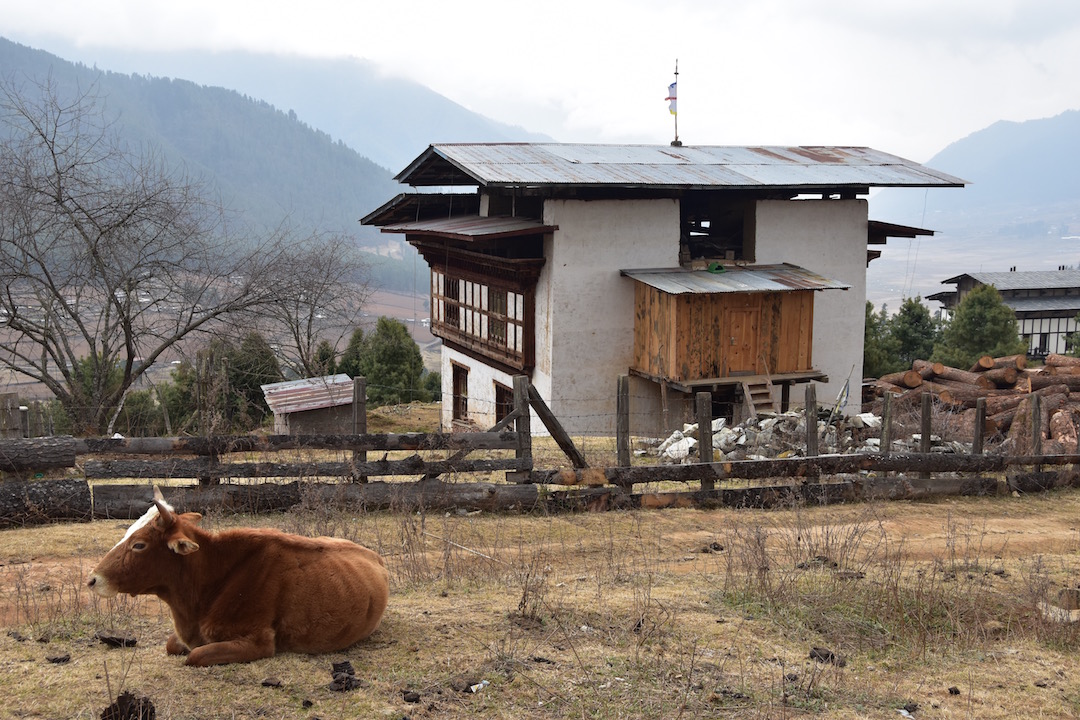 trail head and hotel.jpg