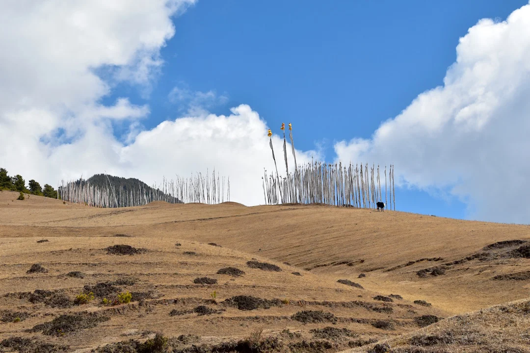 nature hike flags.jpg