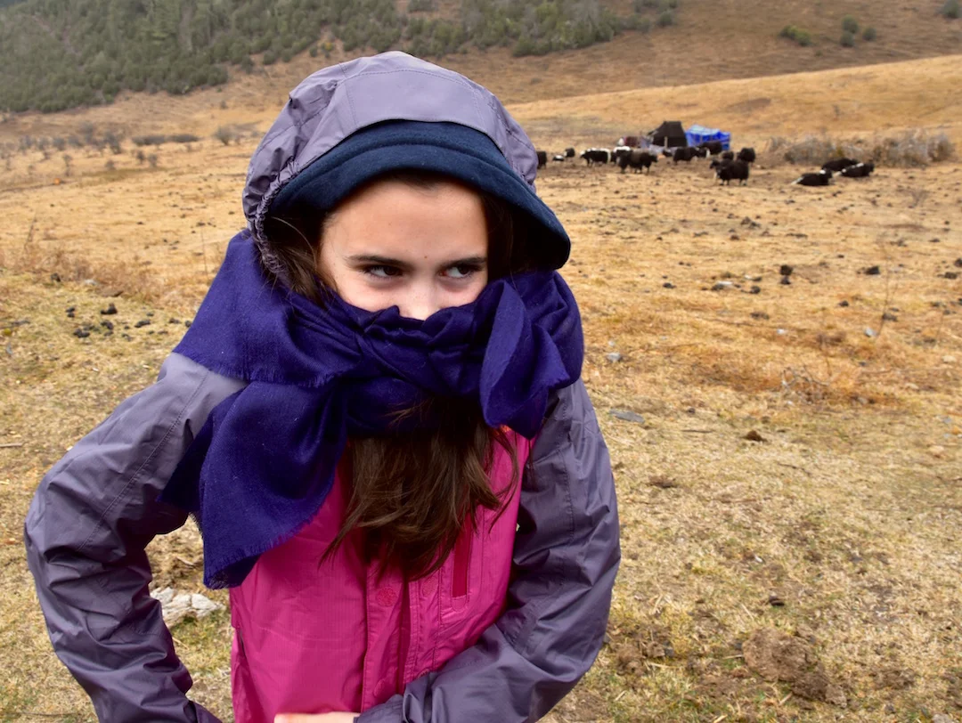 cold hike with yaks.jpg