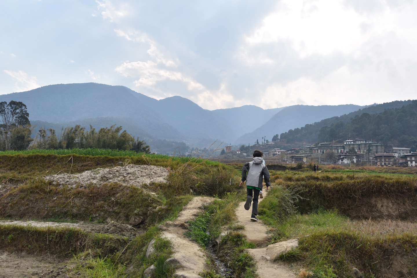 punakha.jpg