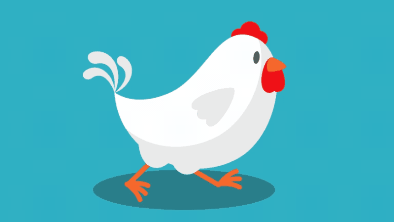 Chicken