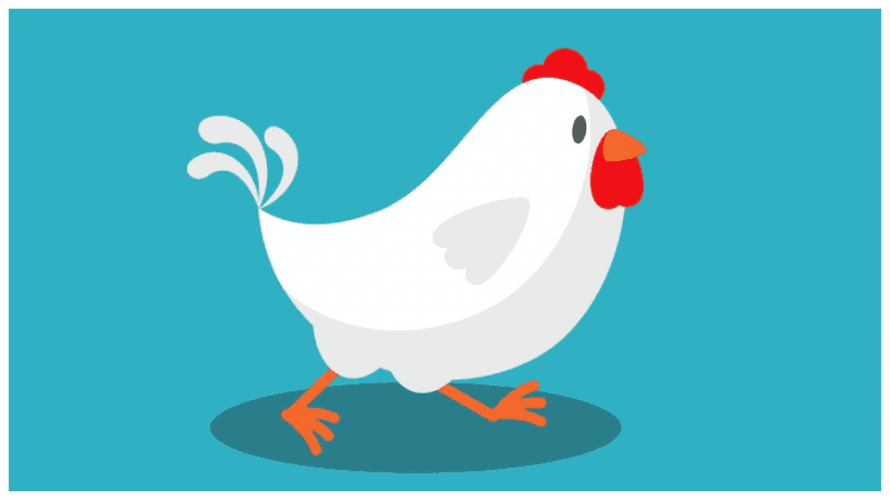 Chicken