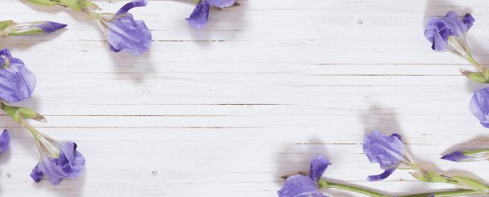 Spring Email Header