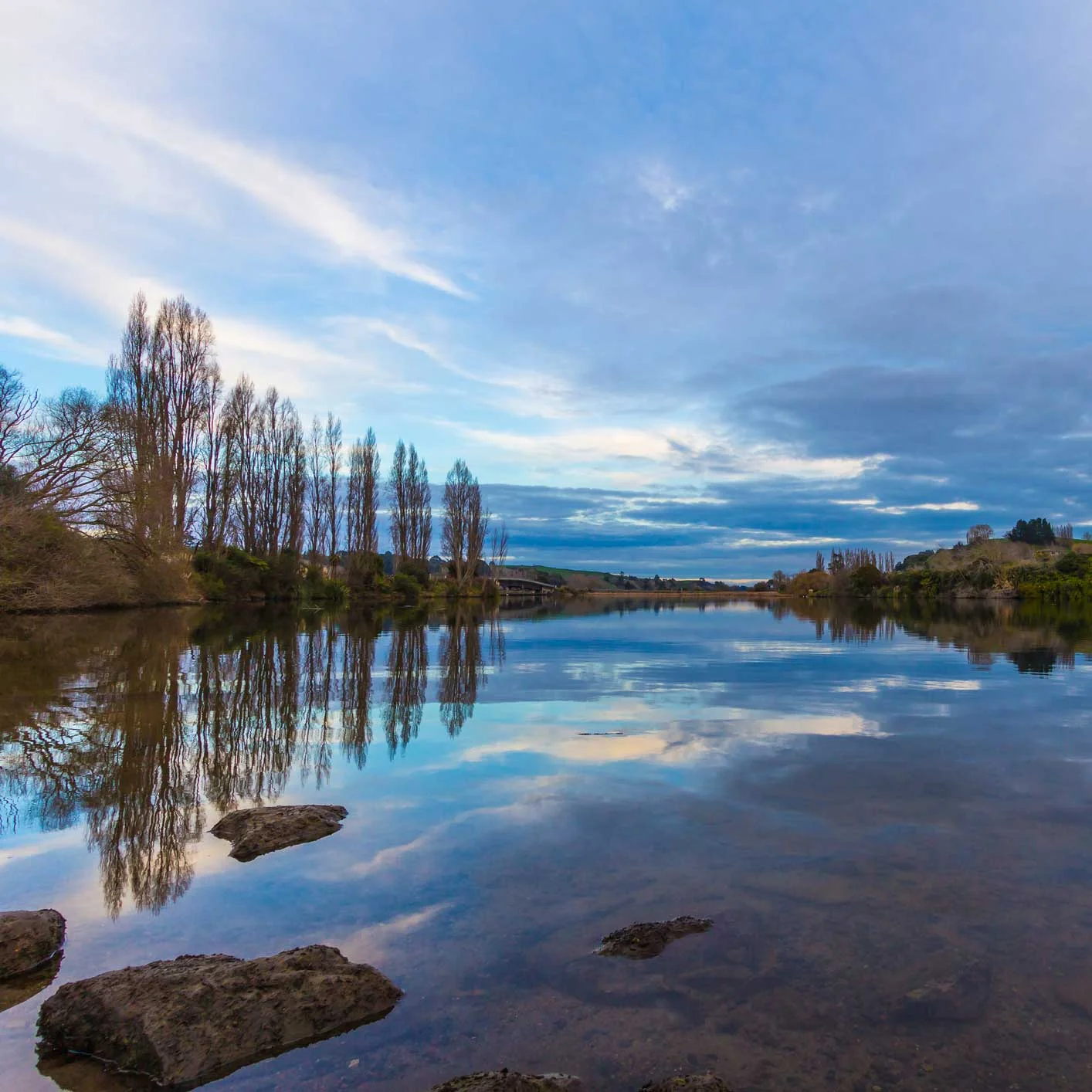iStock-179150139.jpg