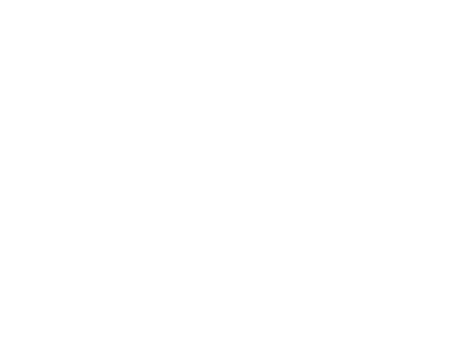 budweiser.png