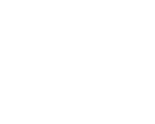 ford.png