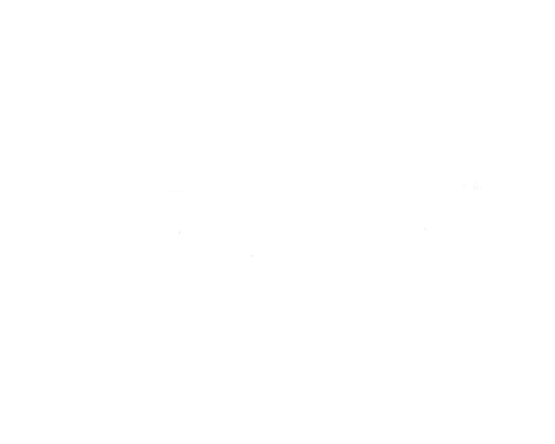 netjets.png