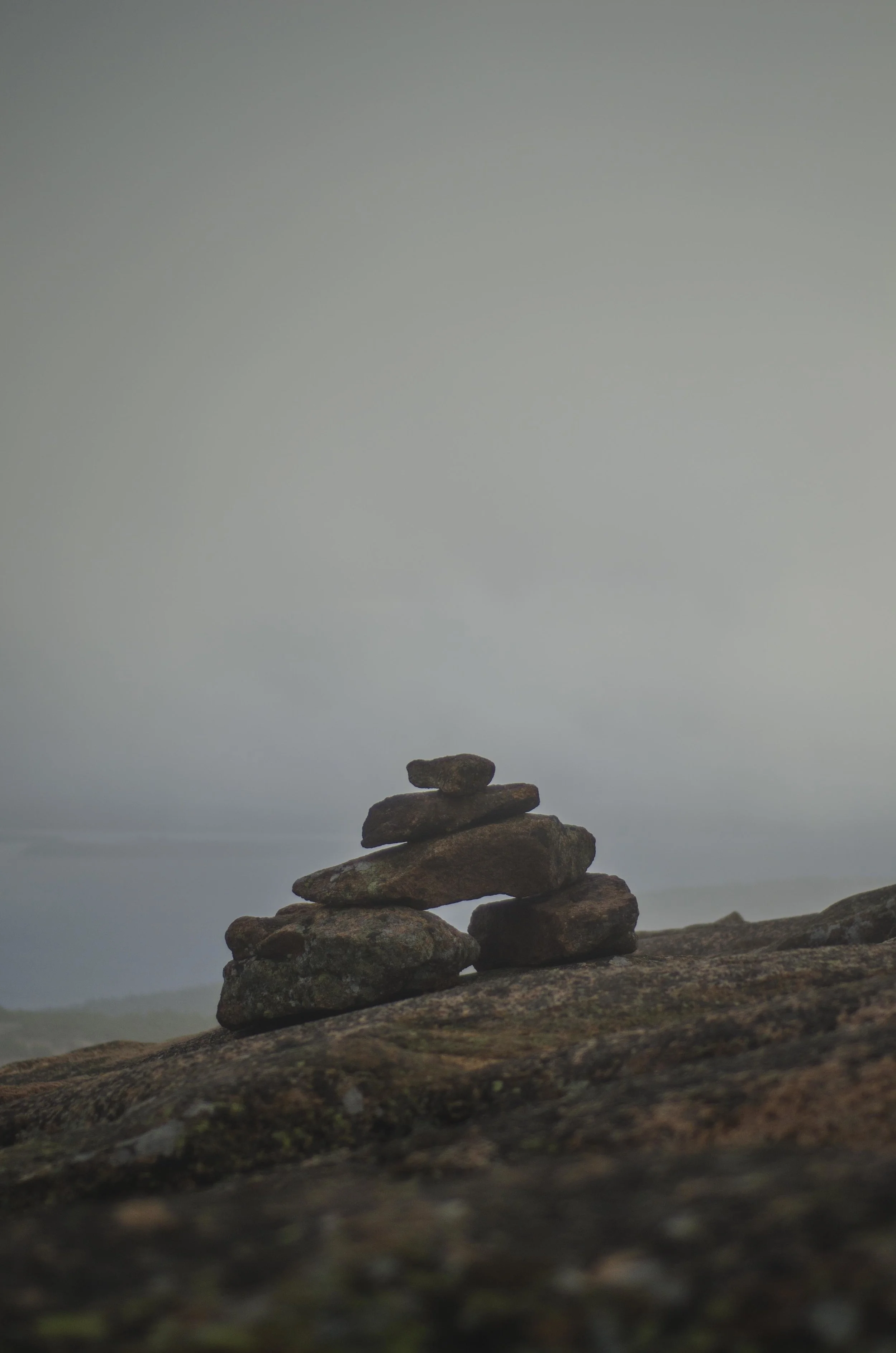 Acadia - Fall_72.jpg