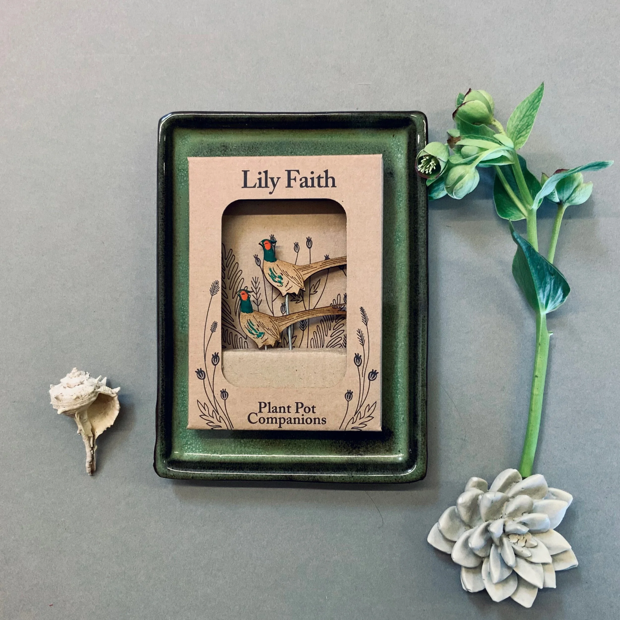 7255FC67-8B8B-4752-97C1-5BF21FC6DF52