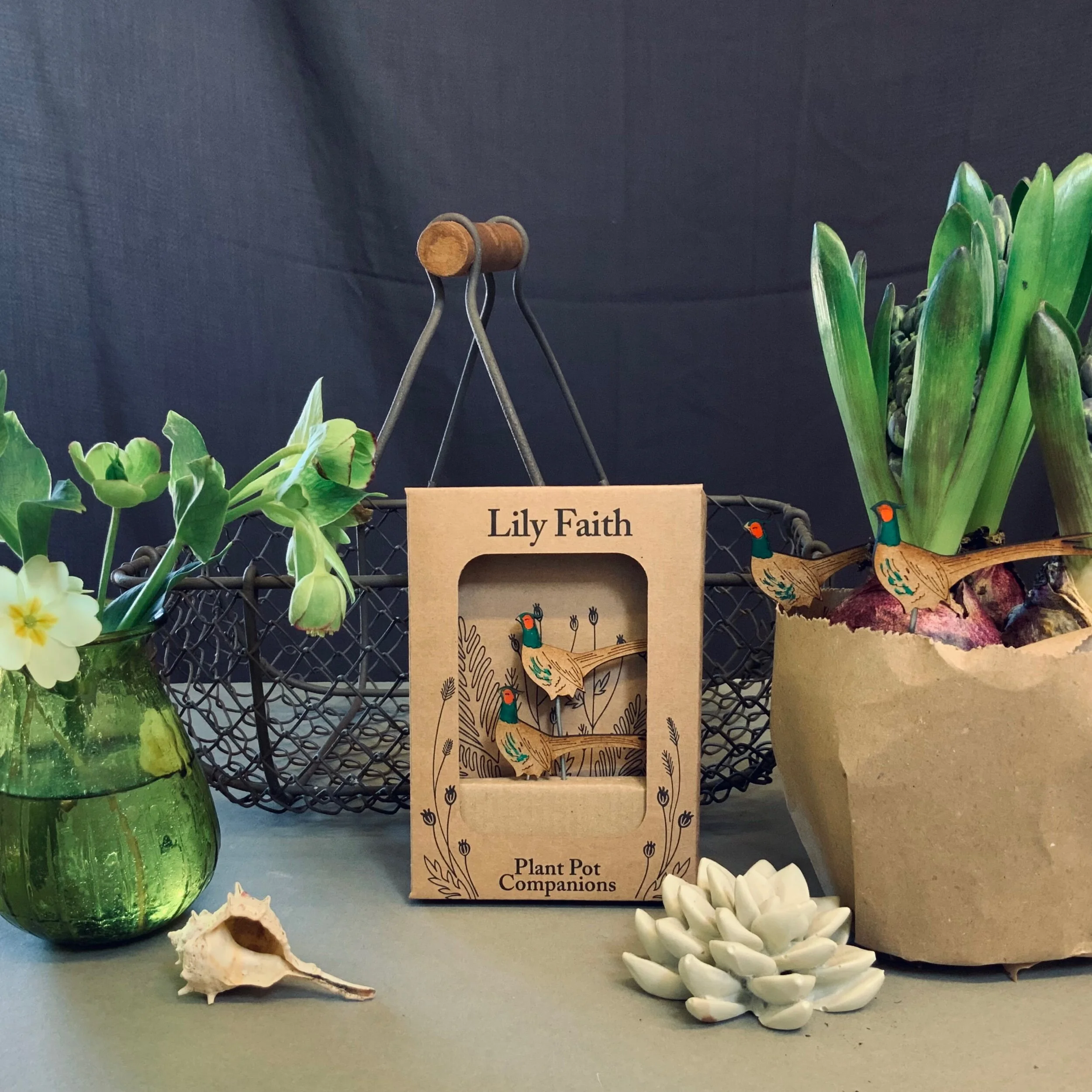 A8D99118-D860-47D2-86A4-10A1F15458CF