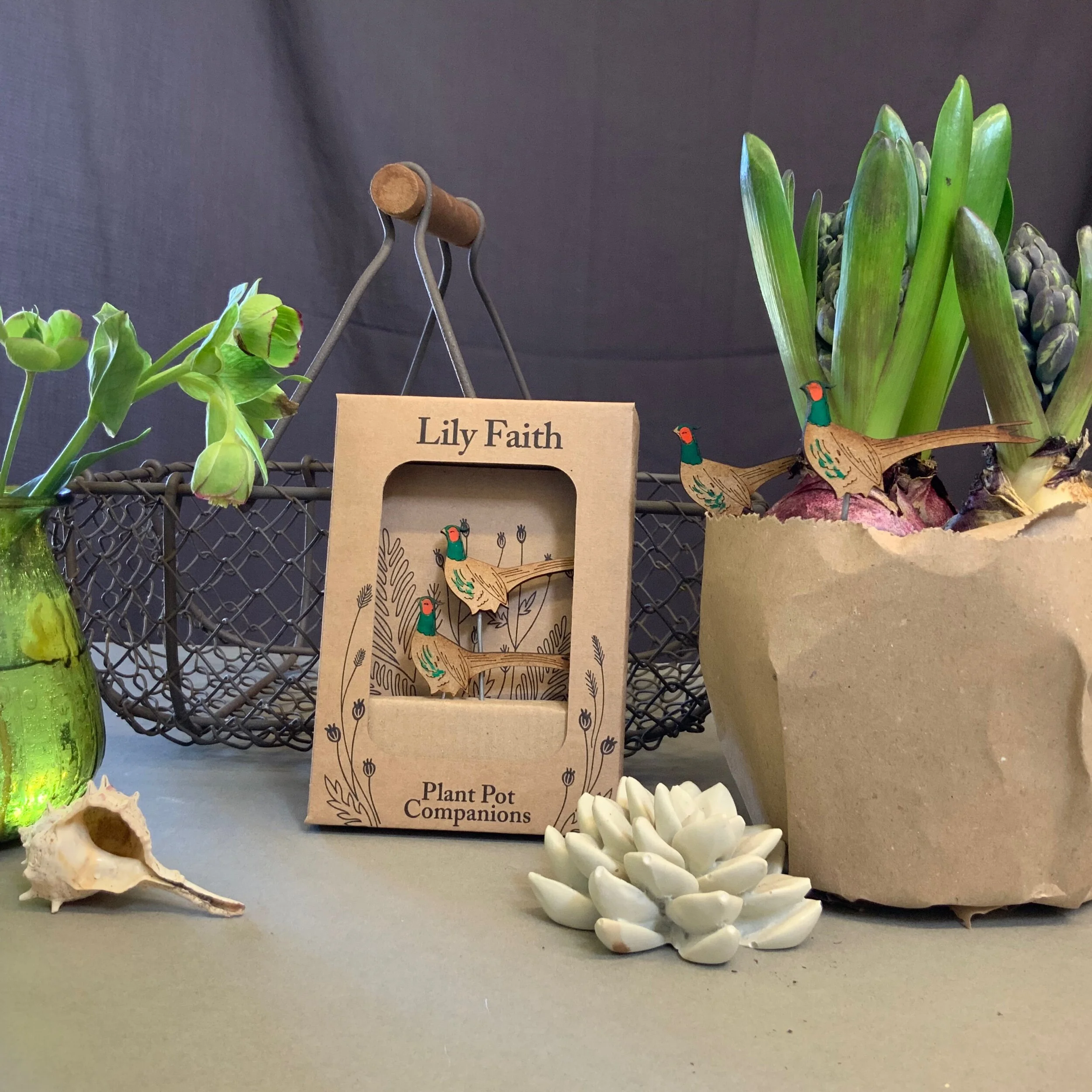 C5A61751-CB0F-44CE-9714-30F6B955E5F7