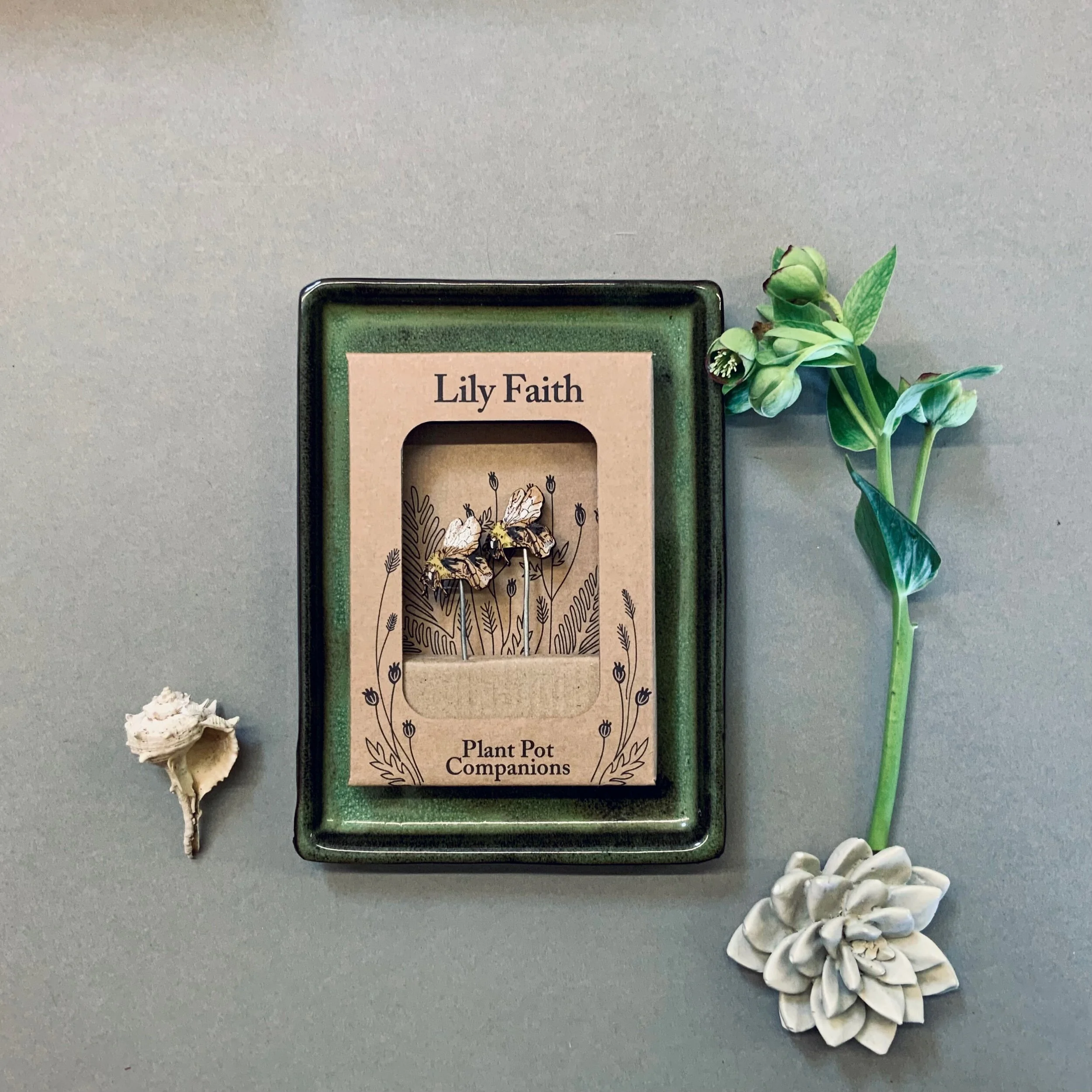 C8699774-DCA7-43E8-9AD3-A0E877E9F328