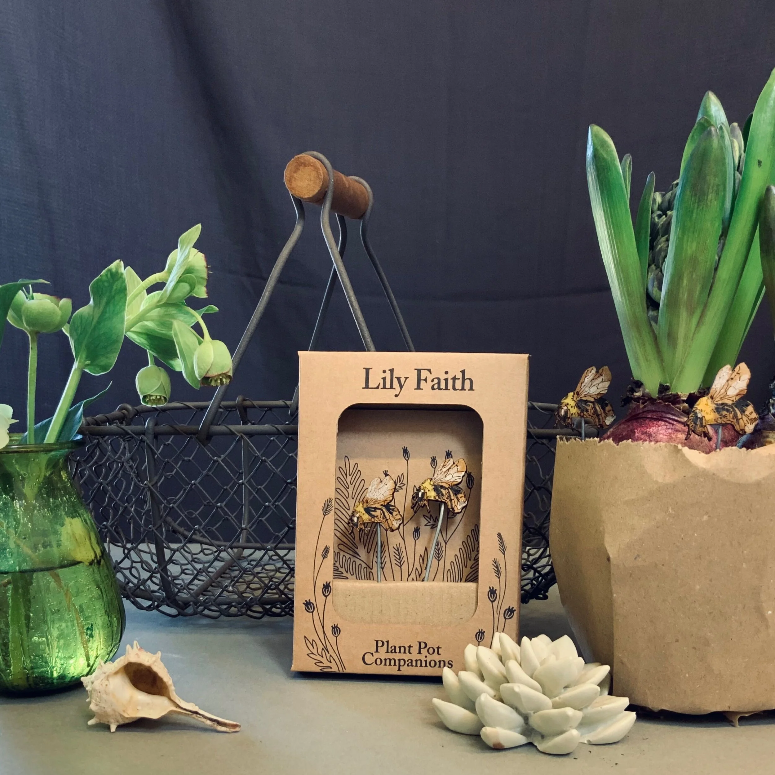 B62882A2-ADCA-4E38-ACCB-16D3B7EEC590