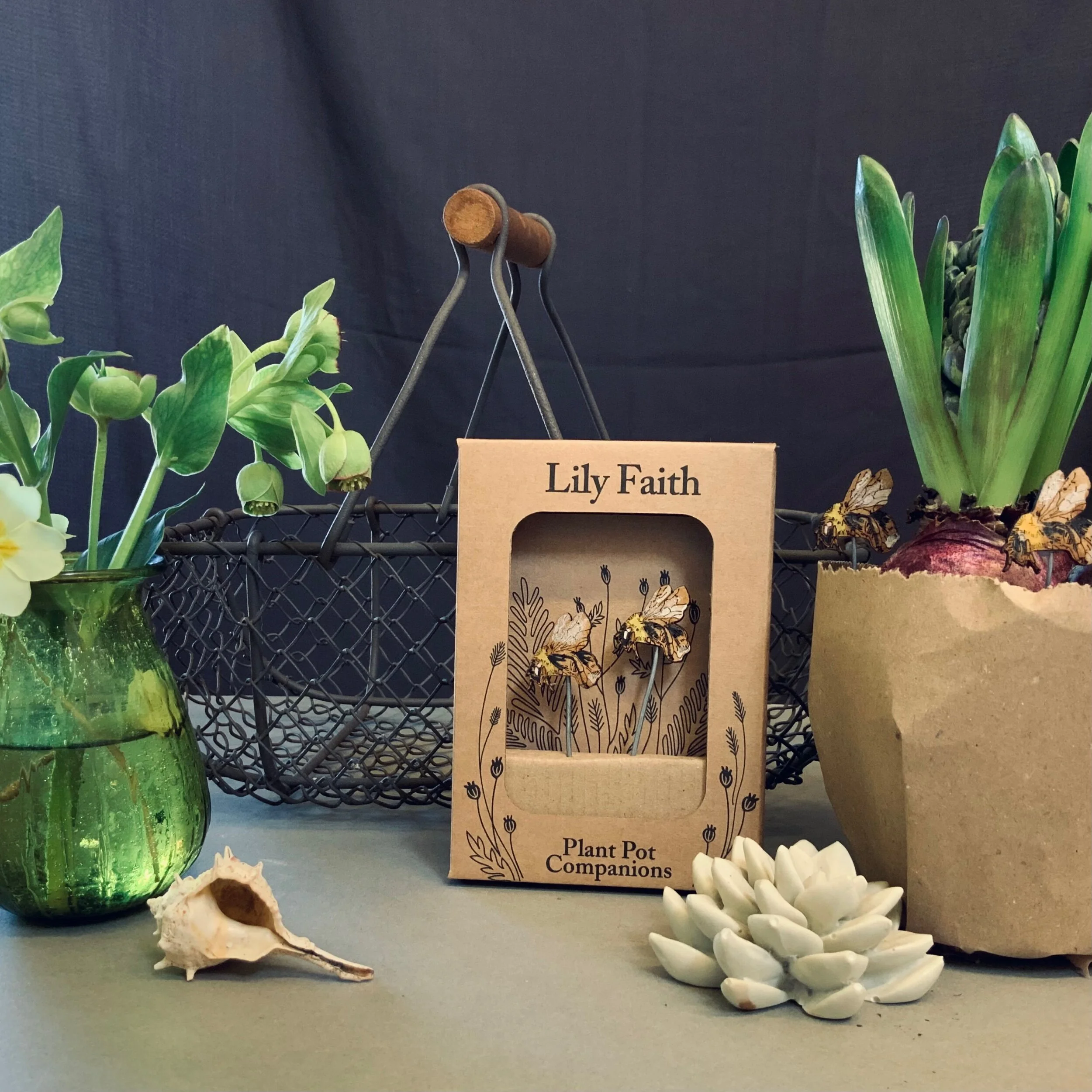 E1644C61-95BE-437E-9236-C55655711BC4