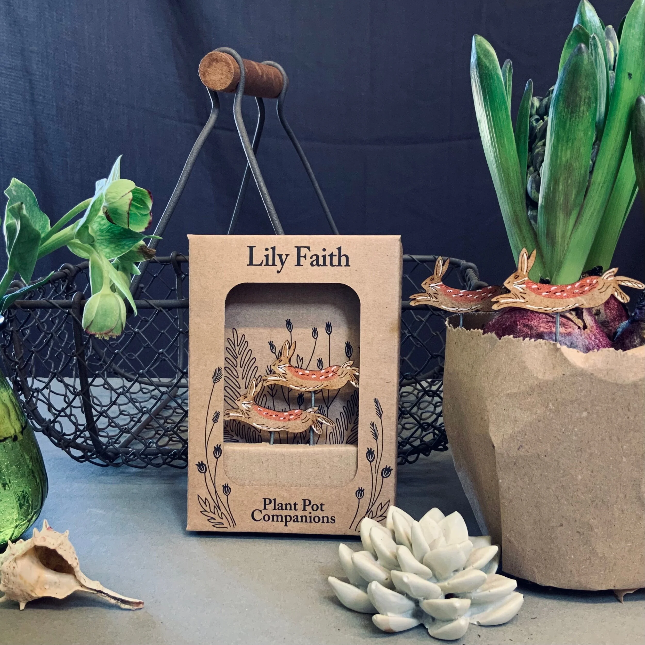 6B69EC38-29E7-4A8E-8E0C-599AB7C9DC6A