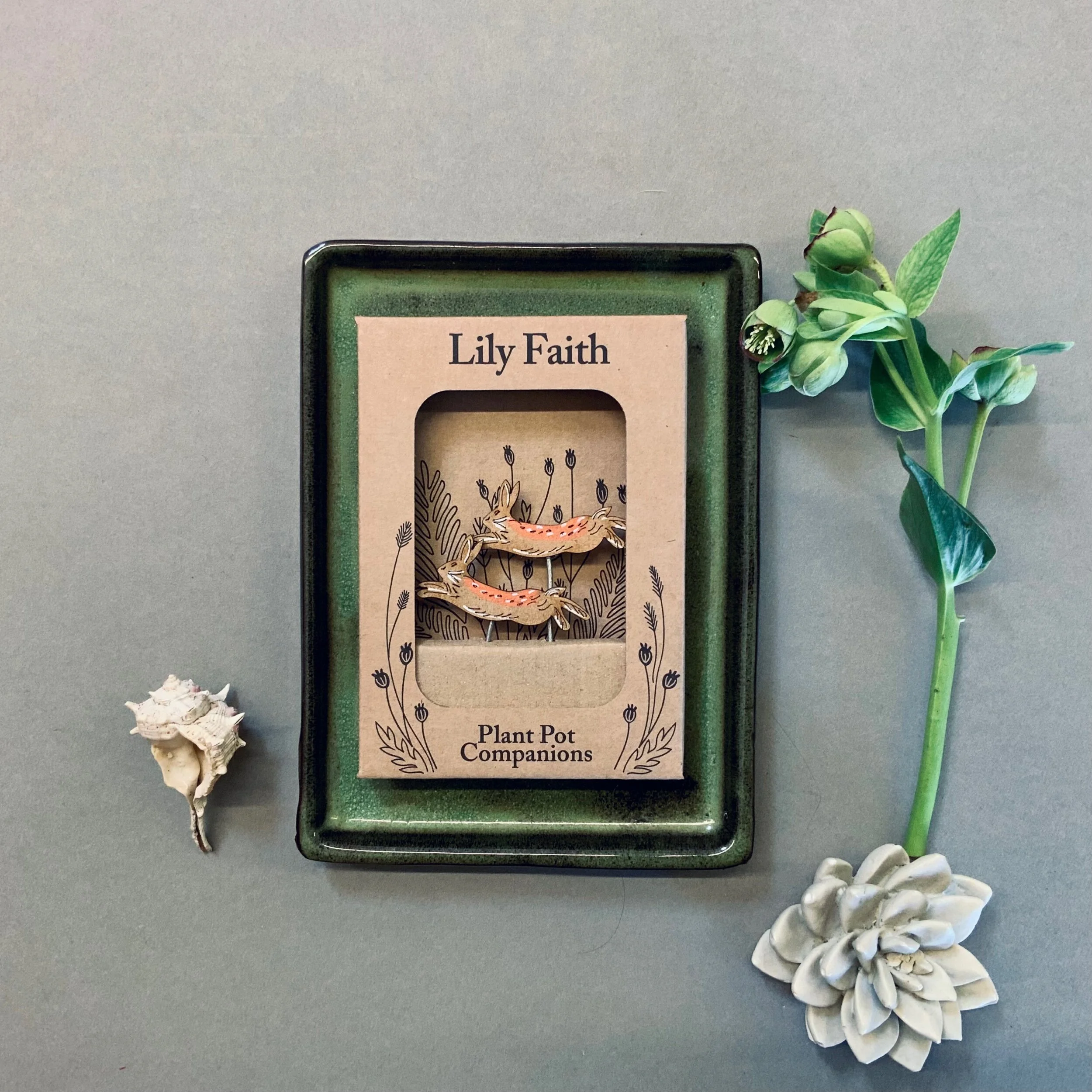 C8094AFC-4F27-450A-A70C-5C5B2076CFA2