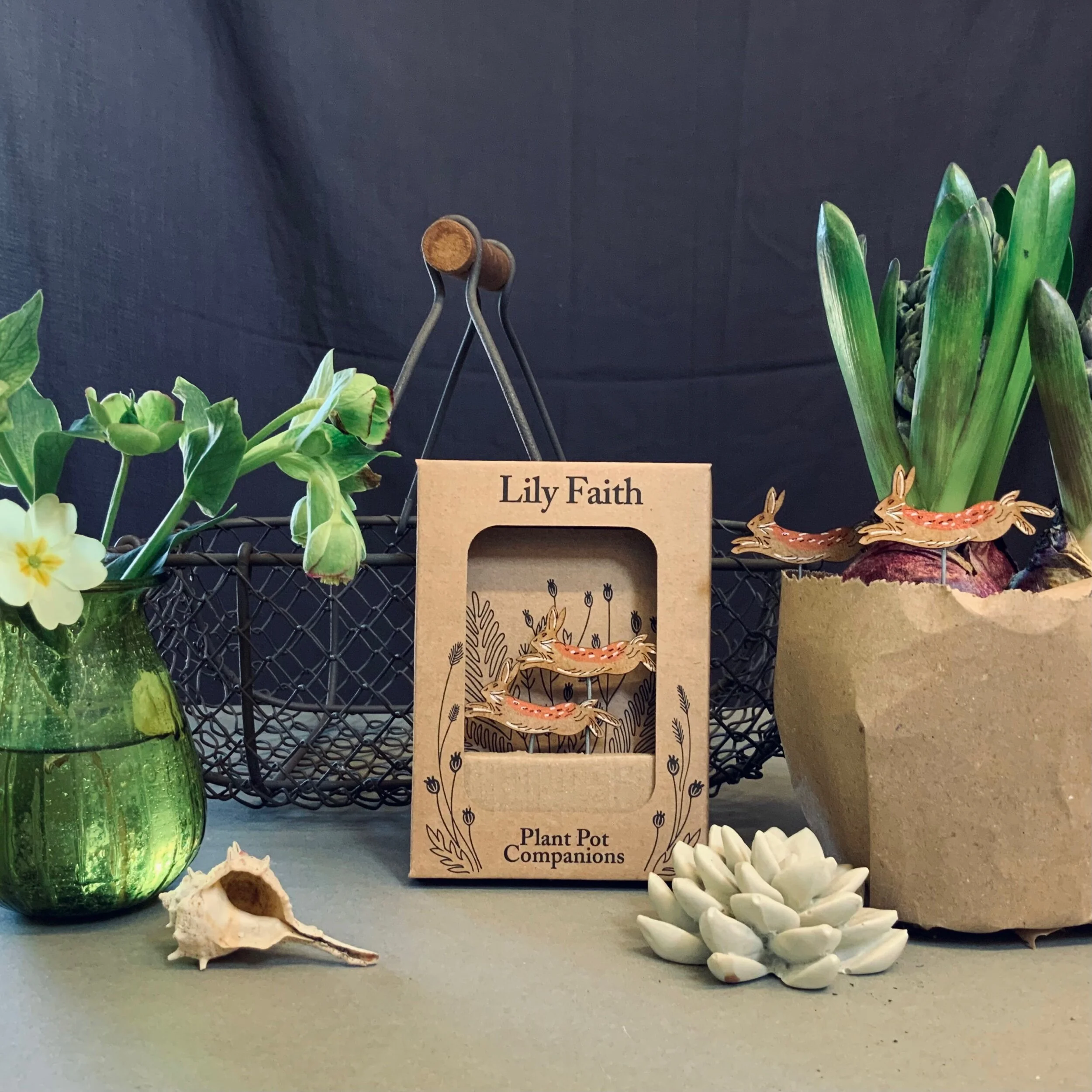 6A8EE02A-FBE6-4E55-A794-47C5A01CCACD