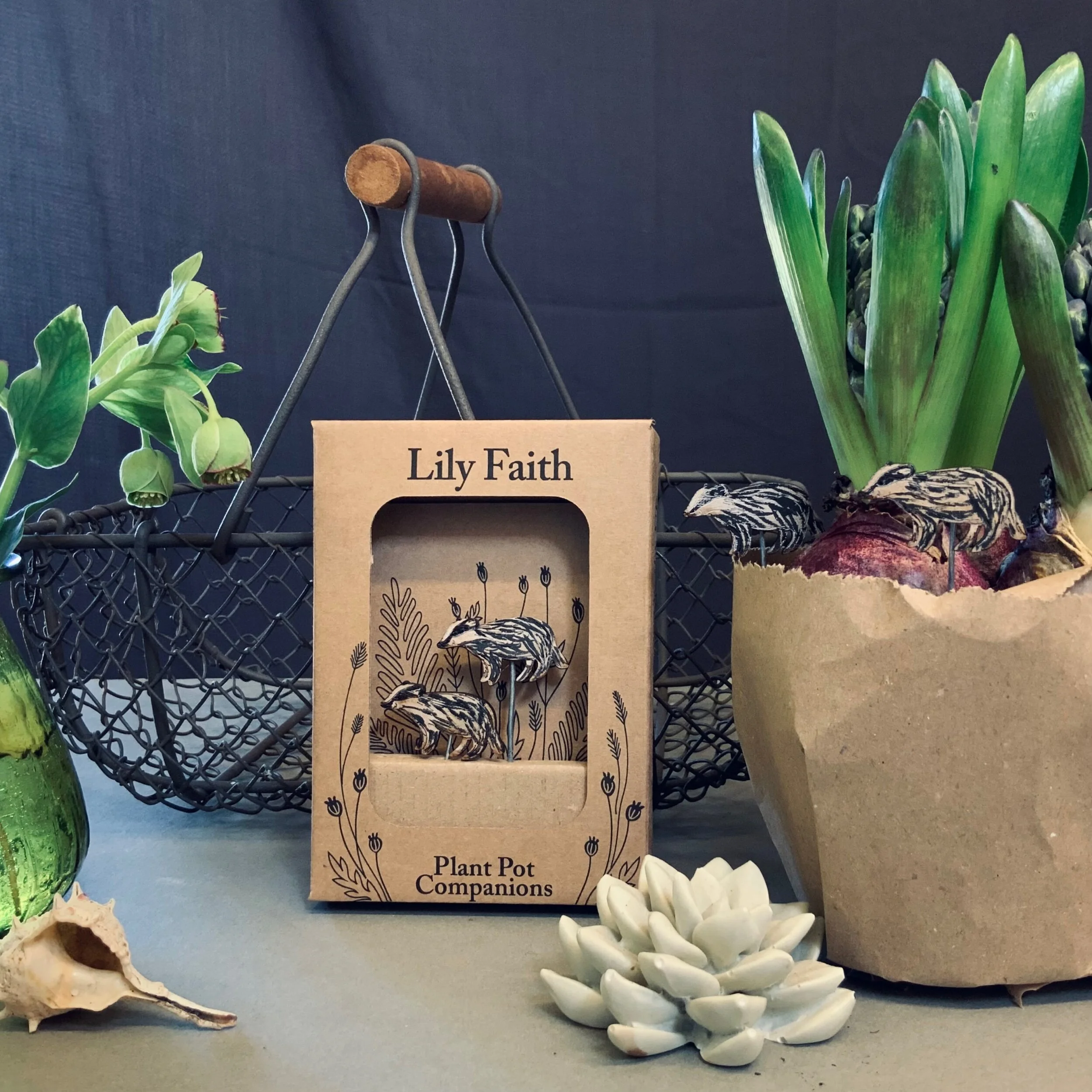 ADA3436E-2BFC-405C-8C3A-488605FE84B0