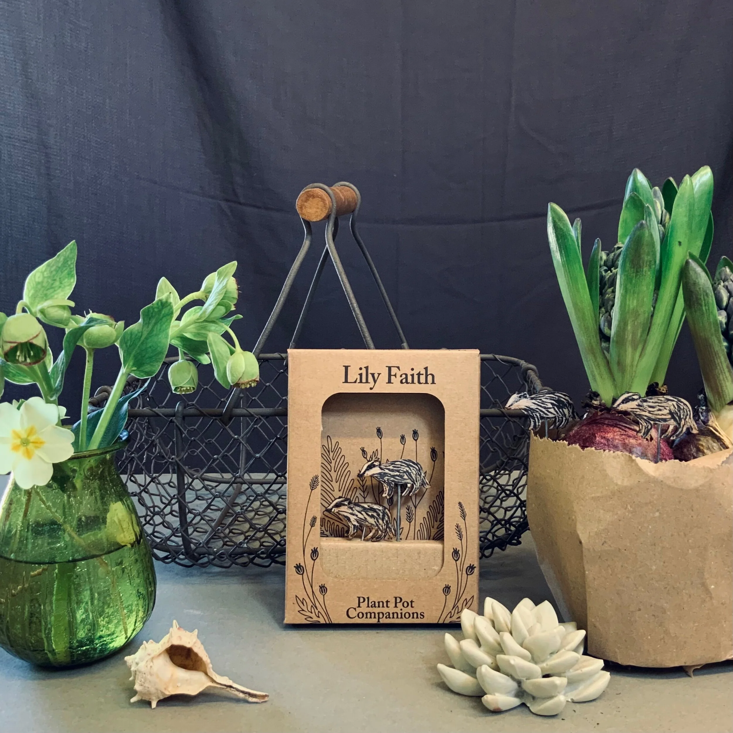 696B2DE8-A341-4FD2-A746-05DD58C209BD