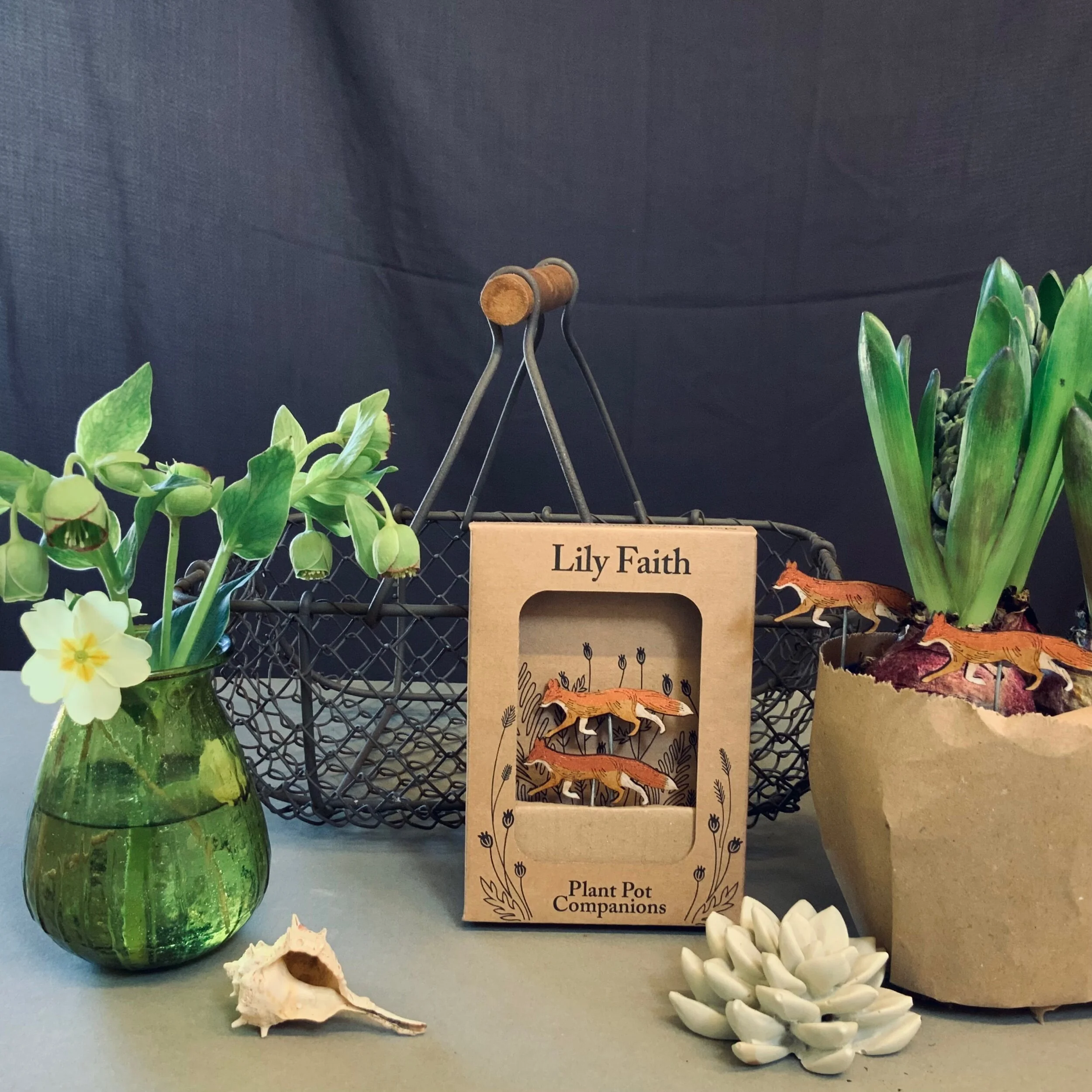 Fox Plant Pot companions come packaged in beauttiful illustrated picture window box, that easily posts as a large letter with the Royal Mail.