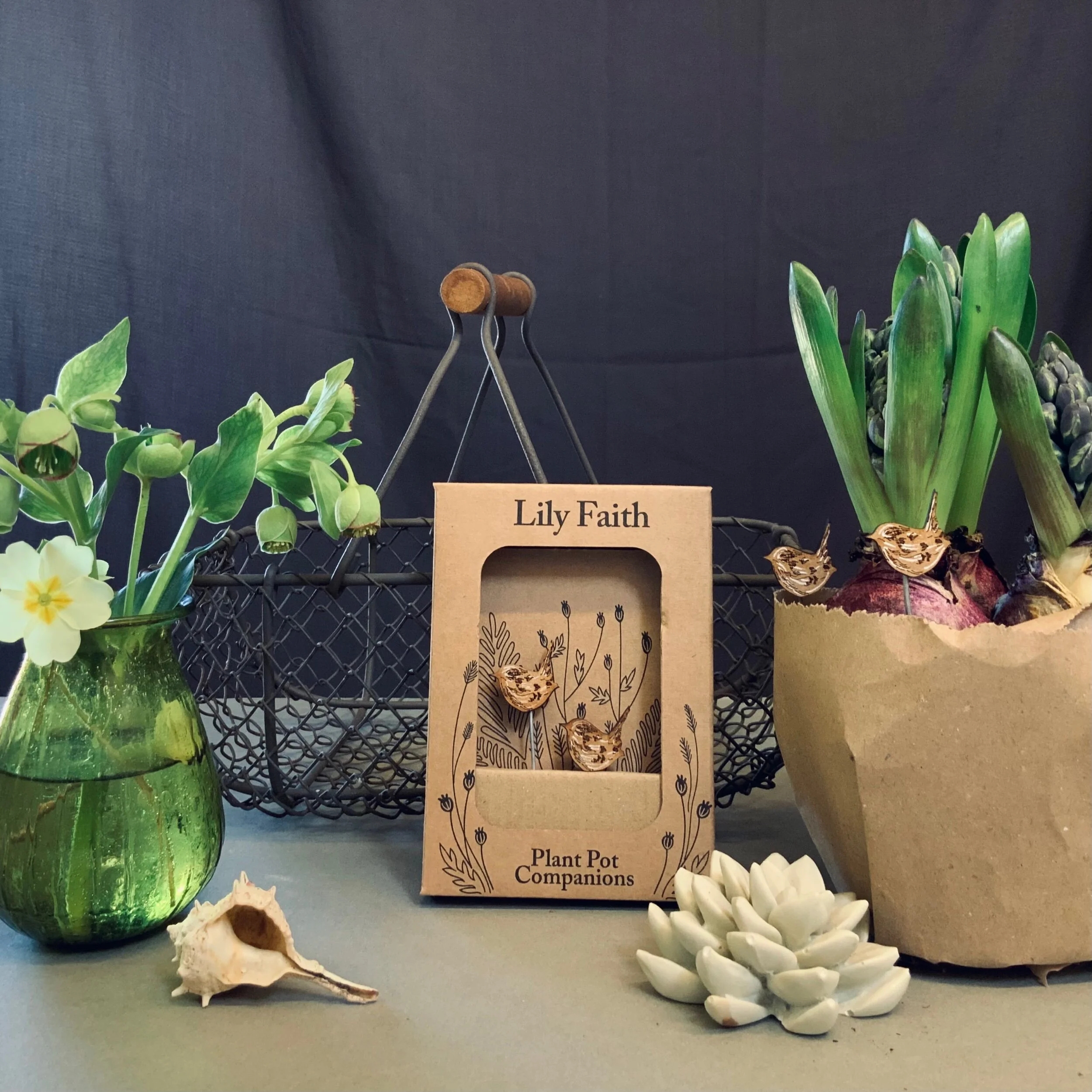 1A378A66-37AB-45F1-8C09-B9EF964DDB06