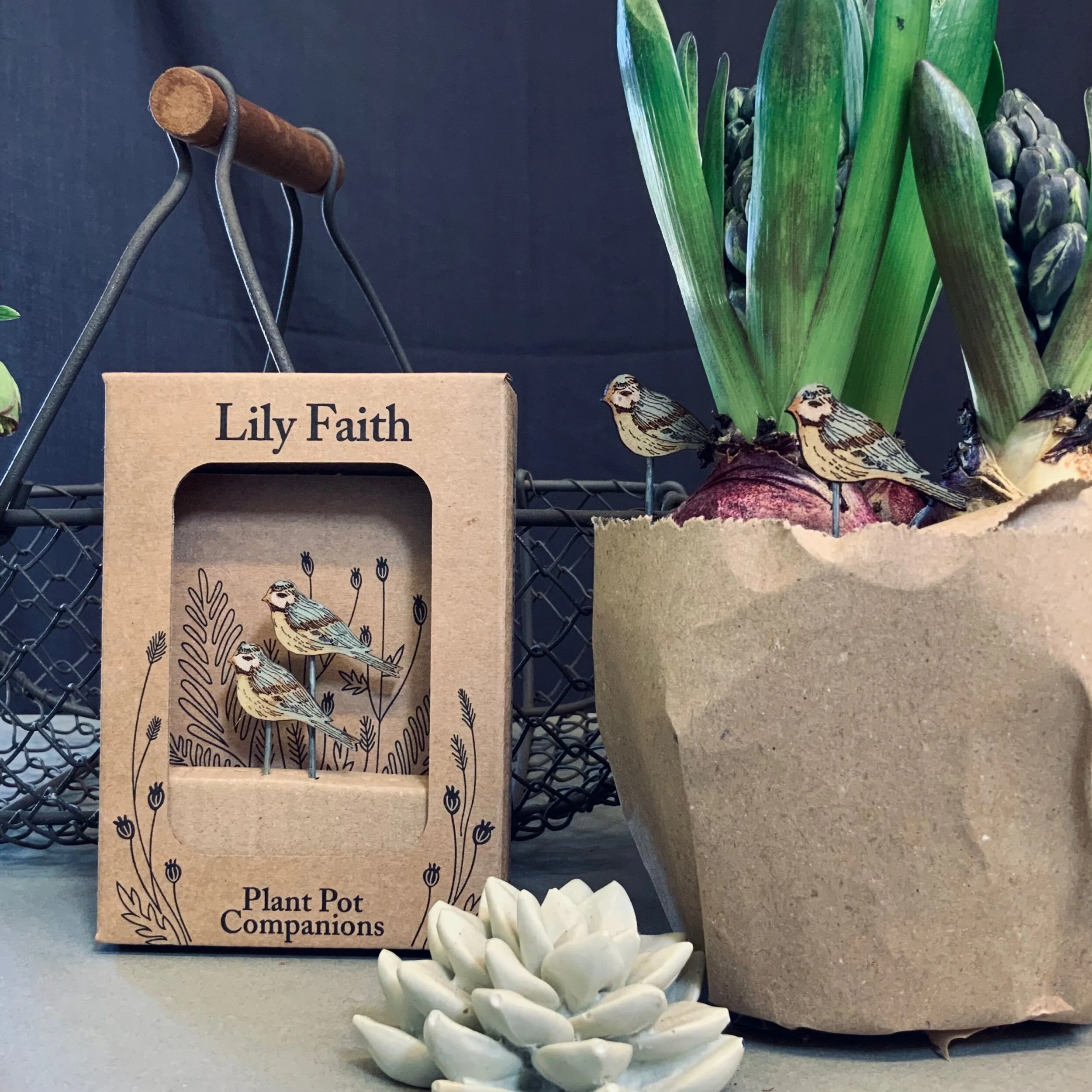 D8288EF9-6C60-499B-A78C-6A68BCC9952F