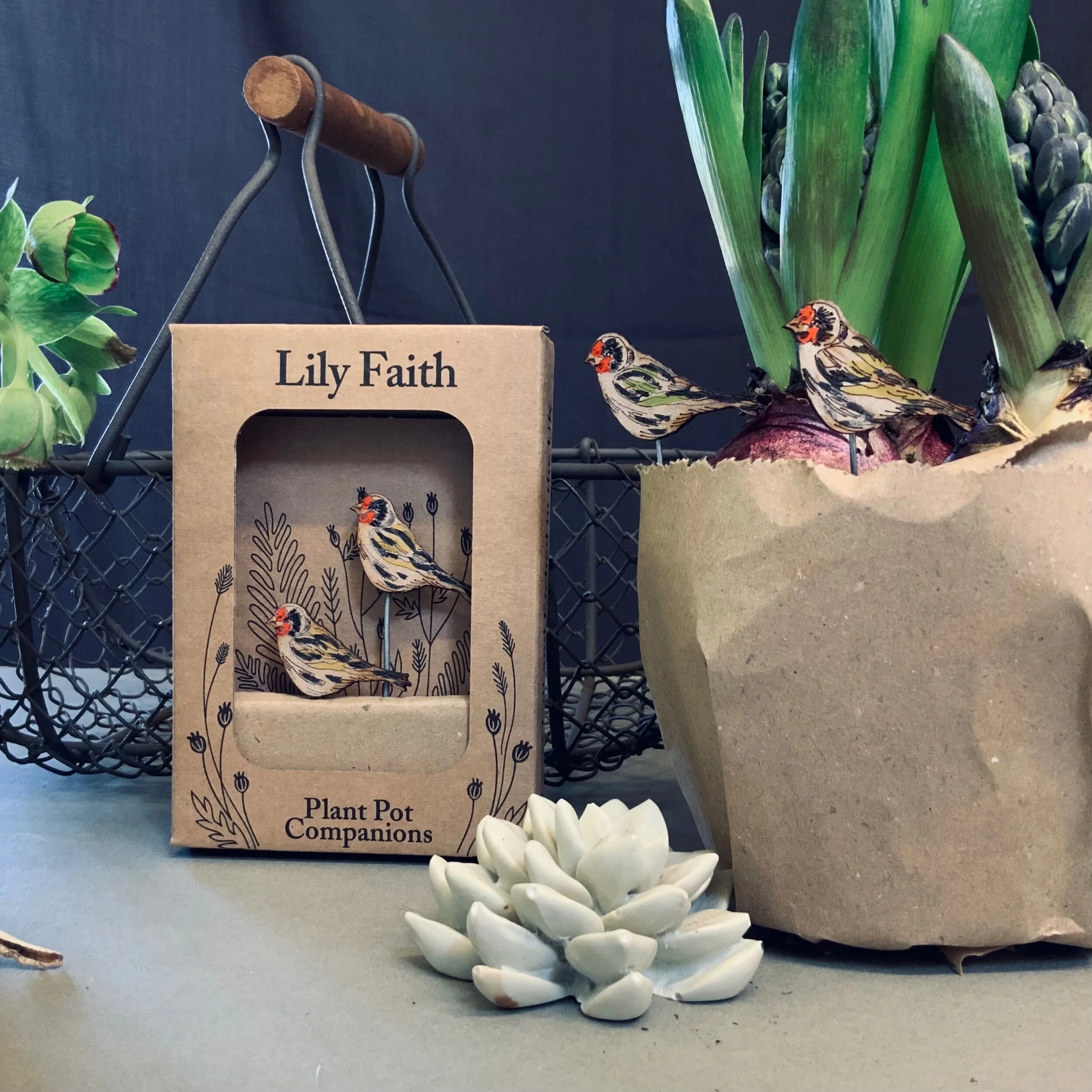 C01DDF0C-B1B9-4774-821C-3B7B646DA535