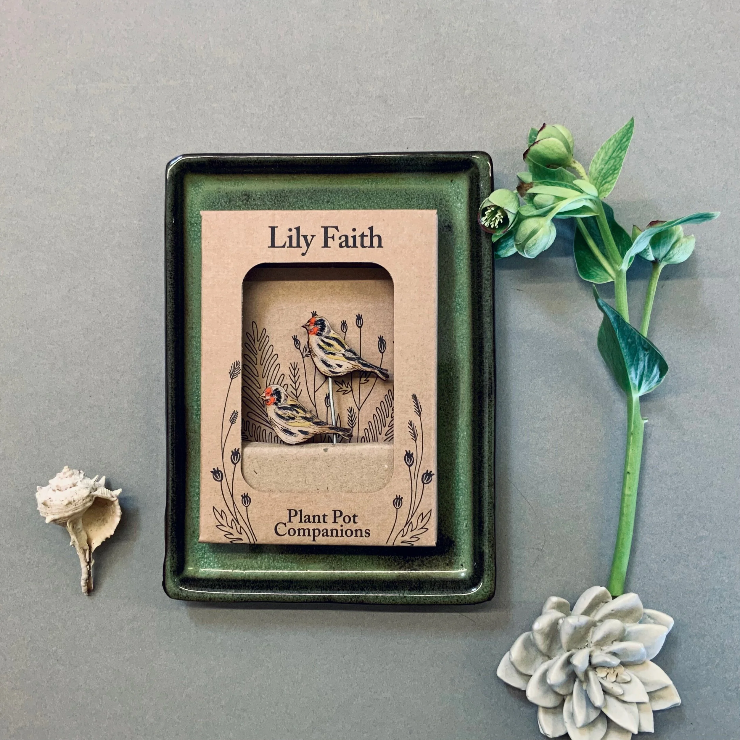 89ED4669-F41D-4EEF-AC06-8C7BAD4331F2