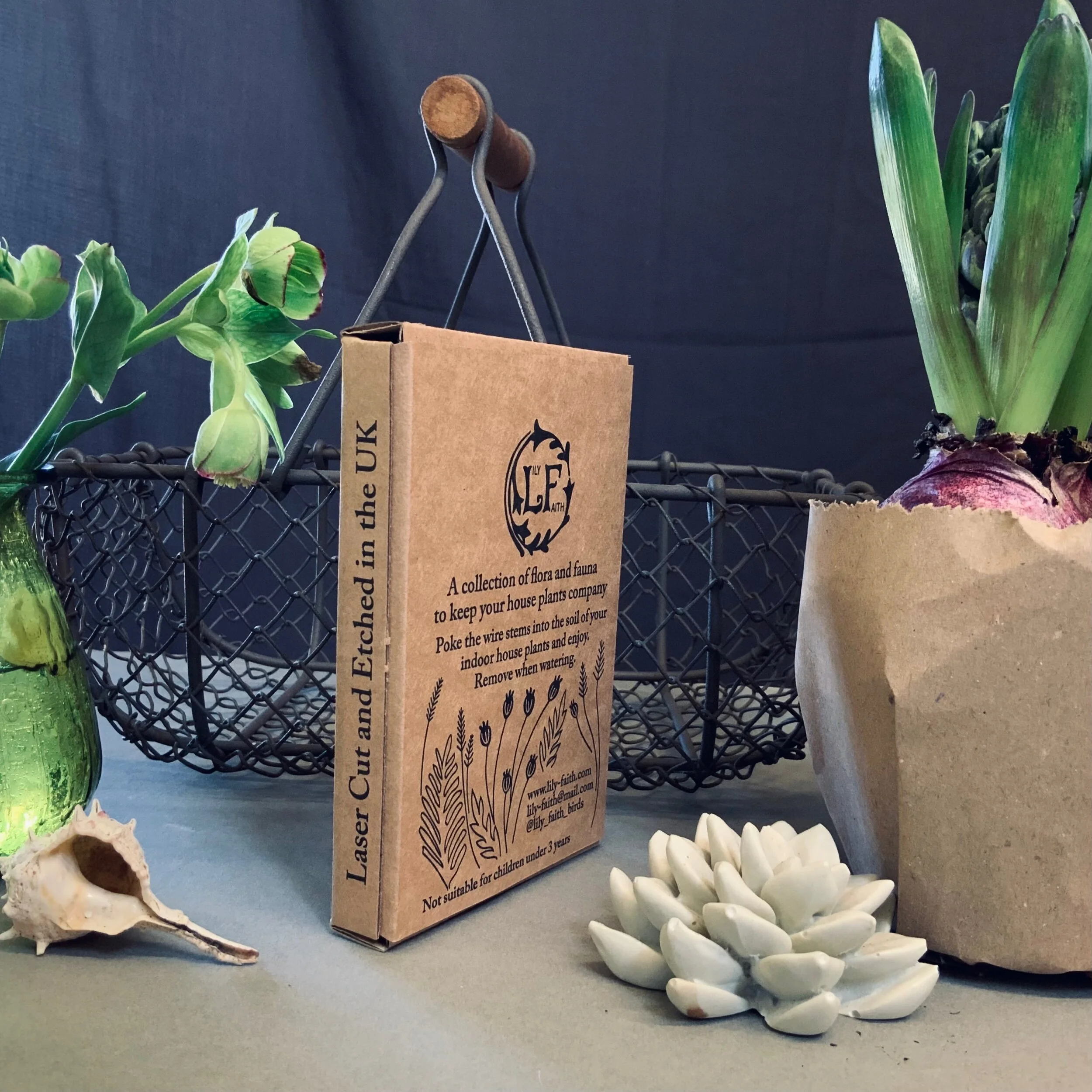 Tortoiseshell butterfly plant pot companions, ready to decorate and embellish your indoor house plants. Intricately hand painted, laser cut and etched from FSC MDF wood. (Copy)