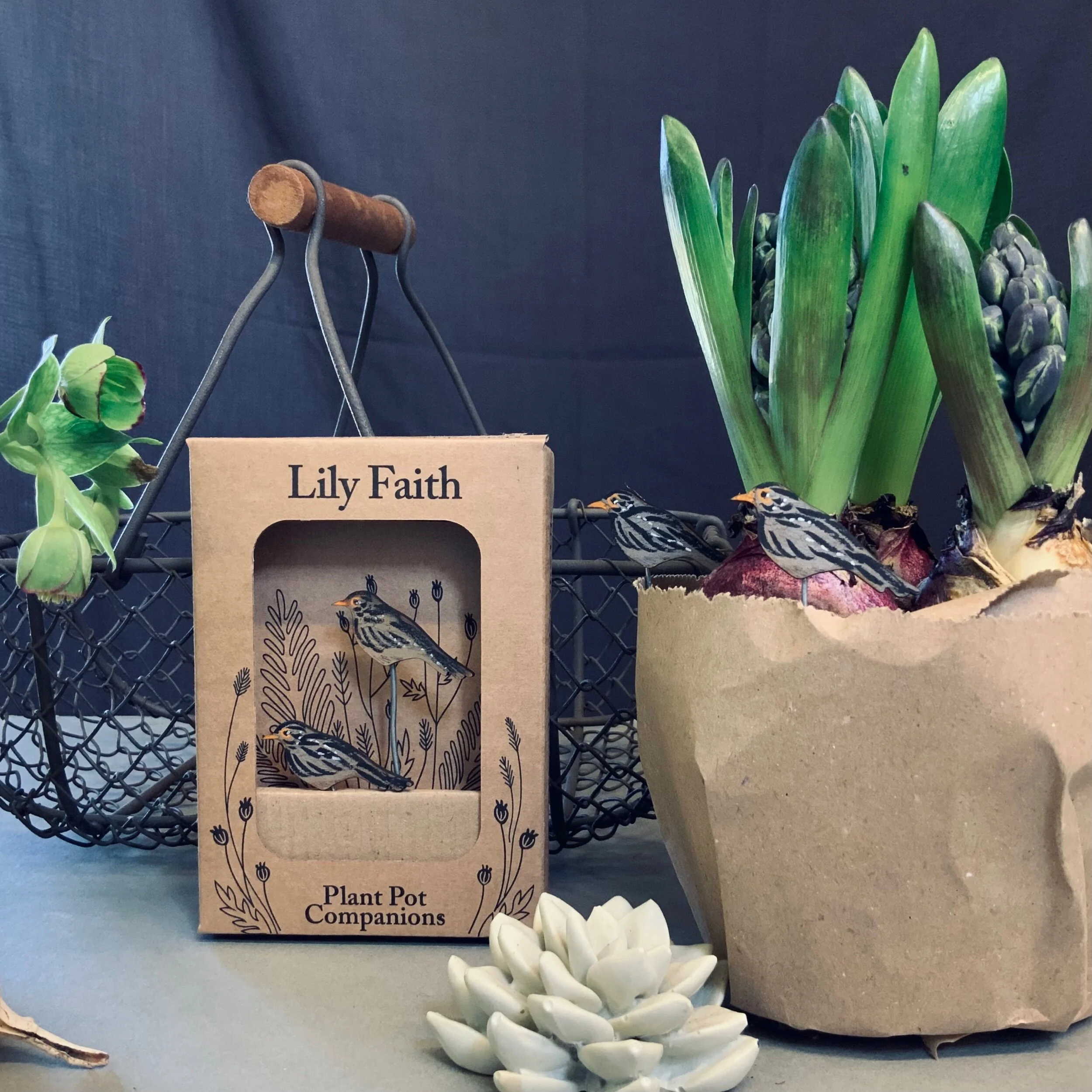 E57F05D8-C88F-44B3-AD27-5C85D8FF152D