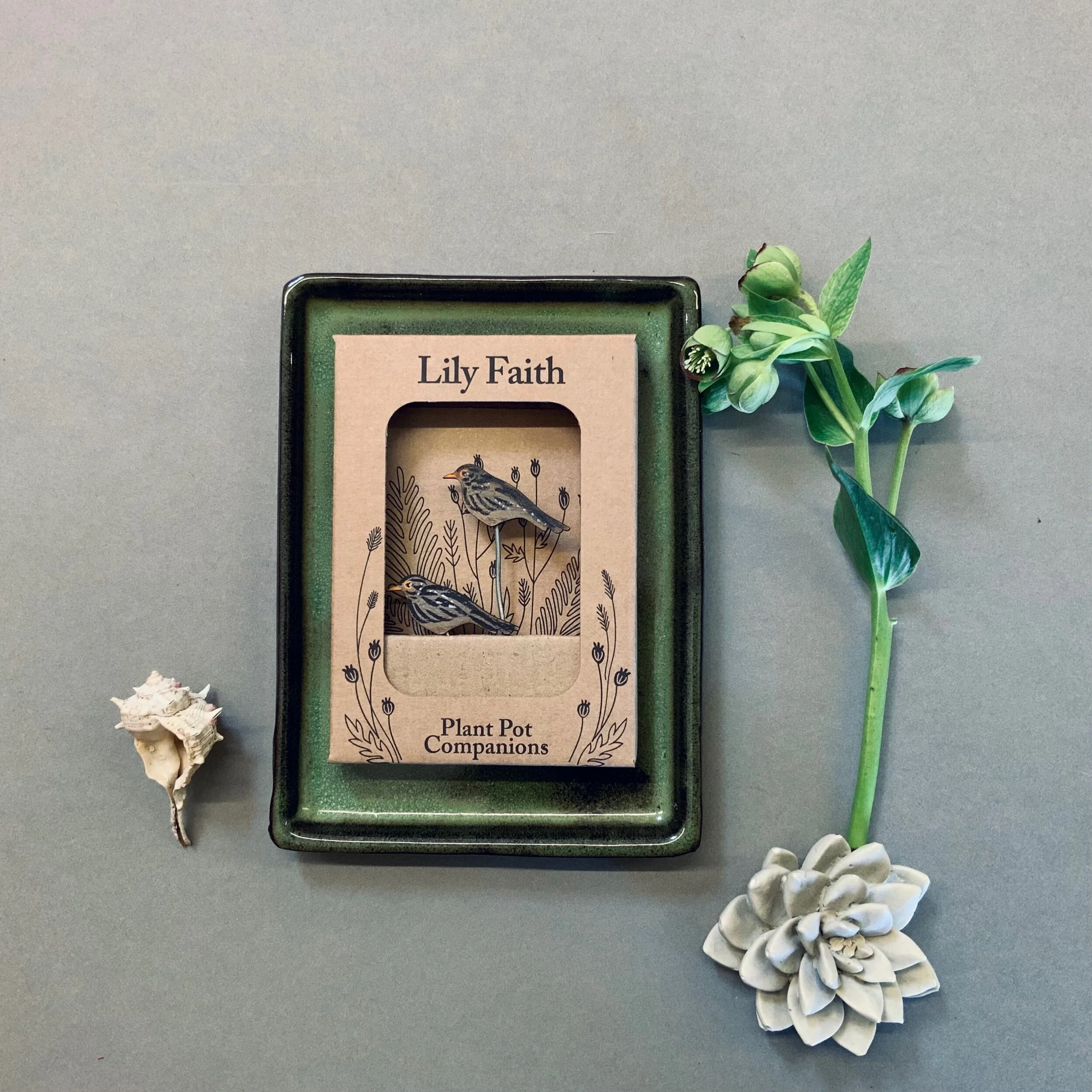 38E06414-995A-43C2-8830-7B9FF3C555F3