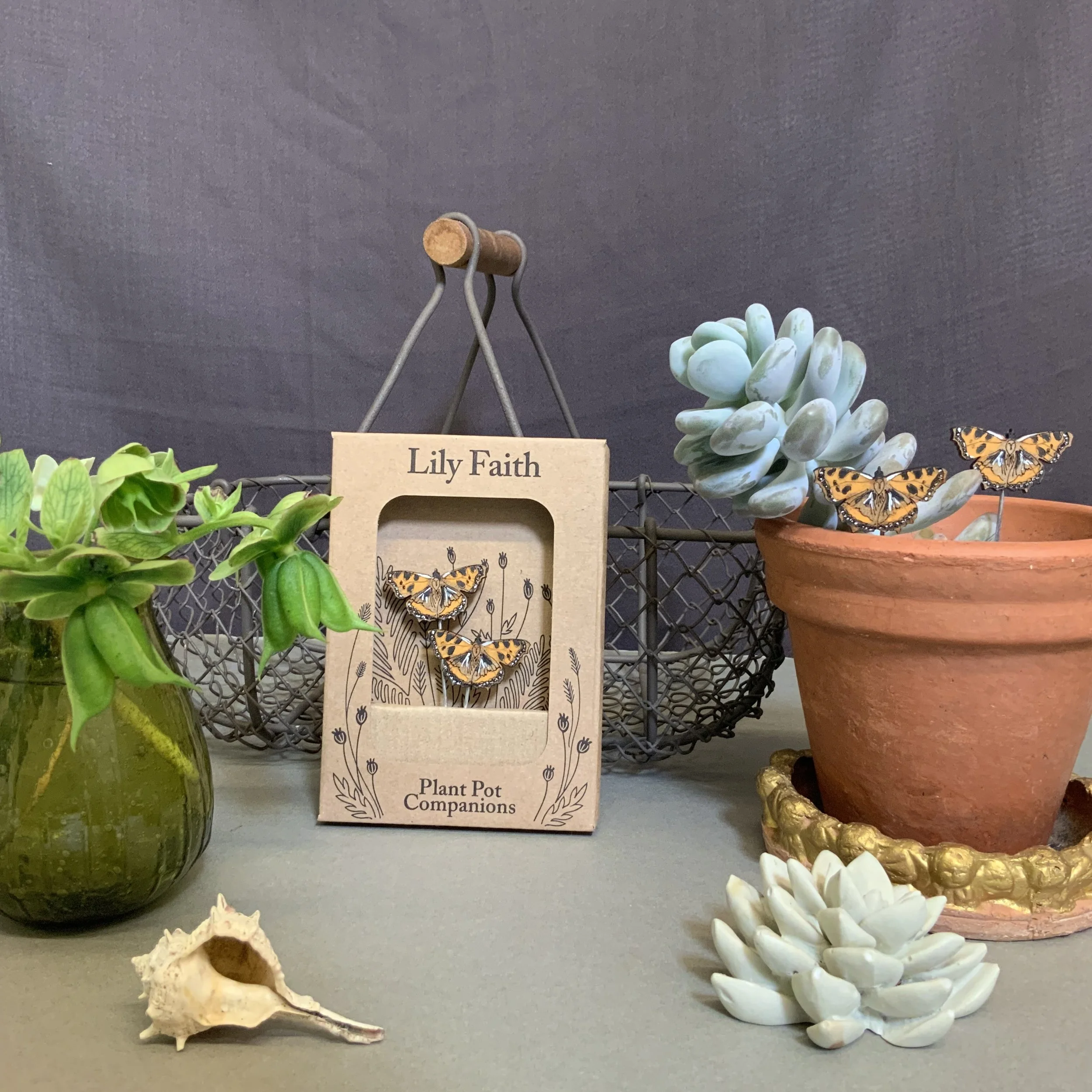 Tortoiseshell butterfly plant pot companions, ready to decorate and embellish your indoor house plants. Intricately hand painted, laser cut and etched from FSC MDF wood.