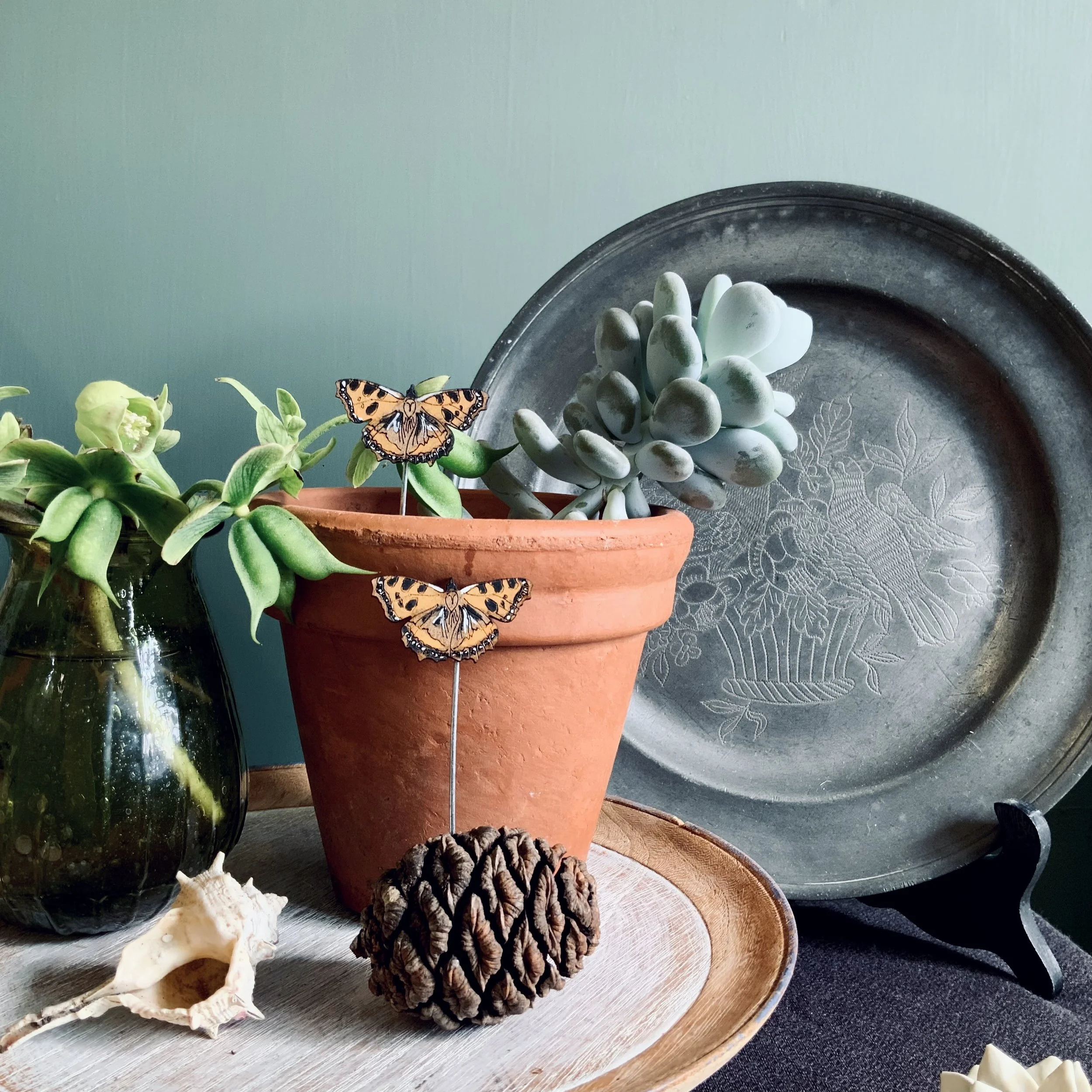 Tortoiseshell butterfly plant pot companions, ready to decorate and embellish your indoor house plants. Intricately hand painted, laser cut and etched from FSC MDF wood. (Copy)