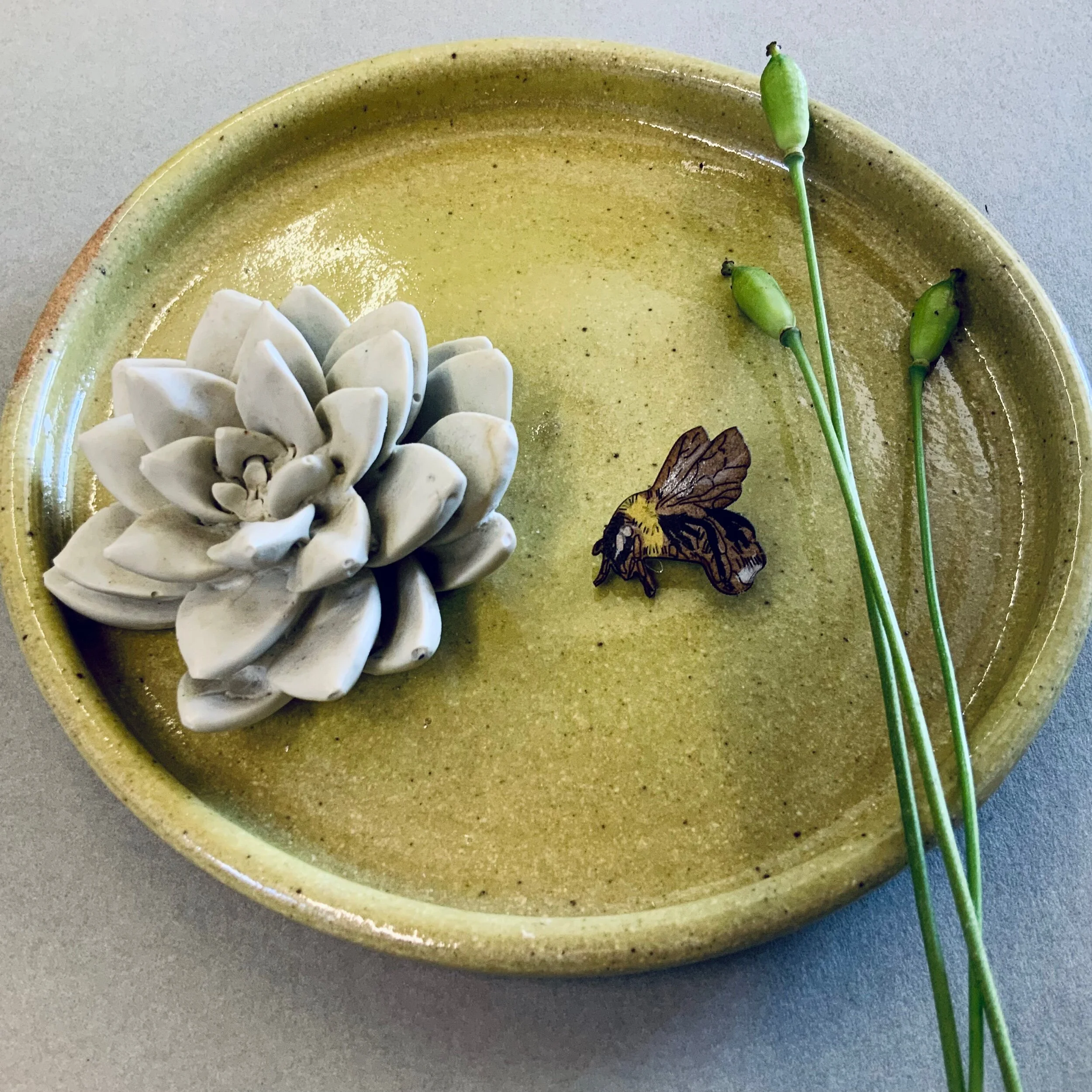 85EFDA64-E730-42EC-B86C-CF4FD704E418