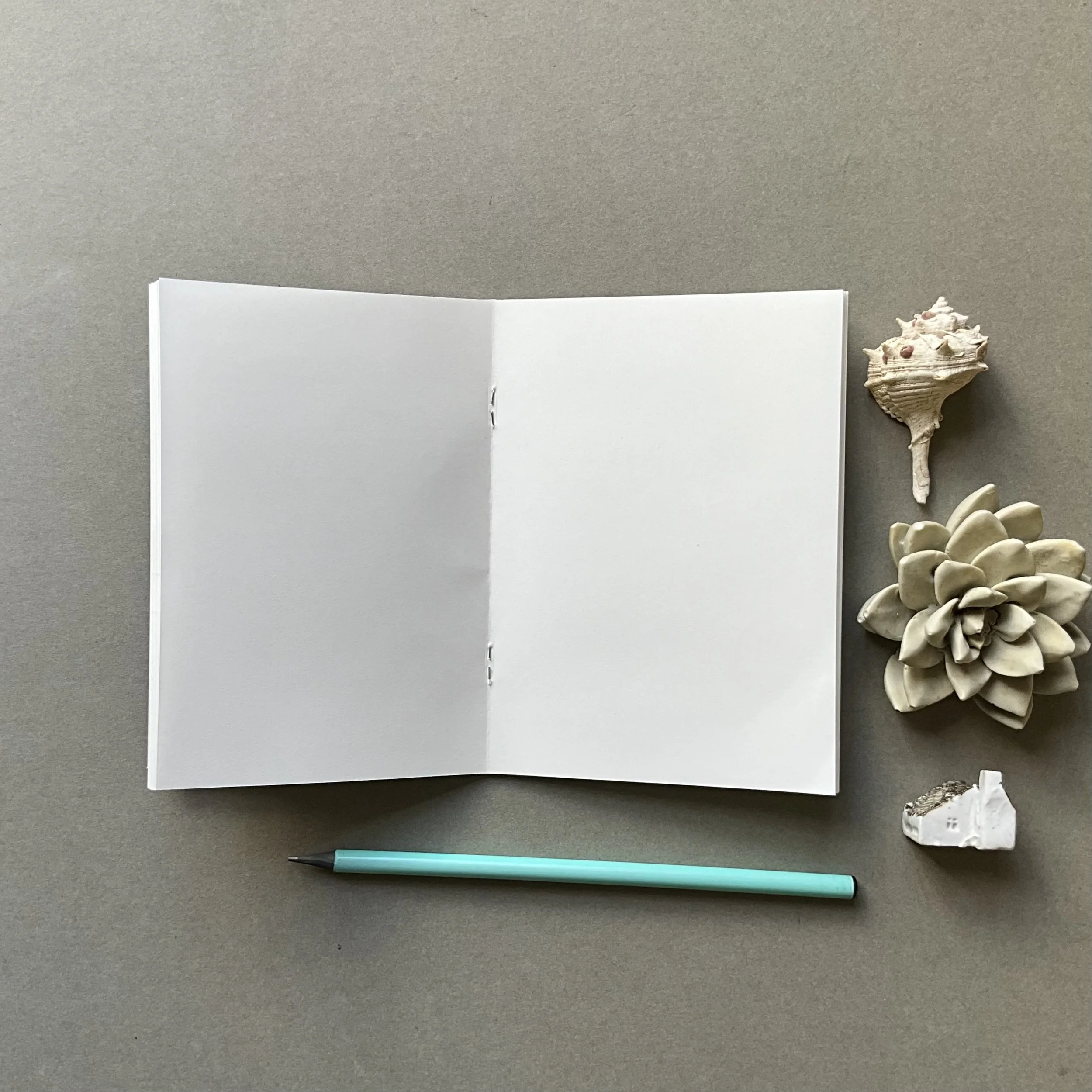 FSC A6 Notebook, designed and printed in the South West, UK. Featuring Lily Faith's Blue Tit in the  Catkins design. (Copy)