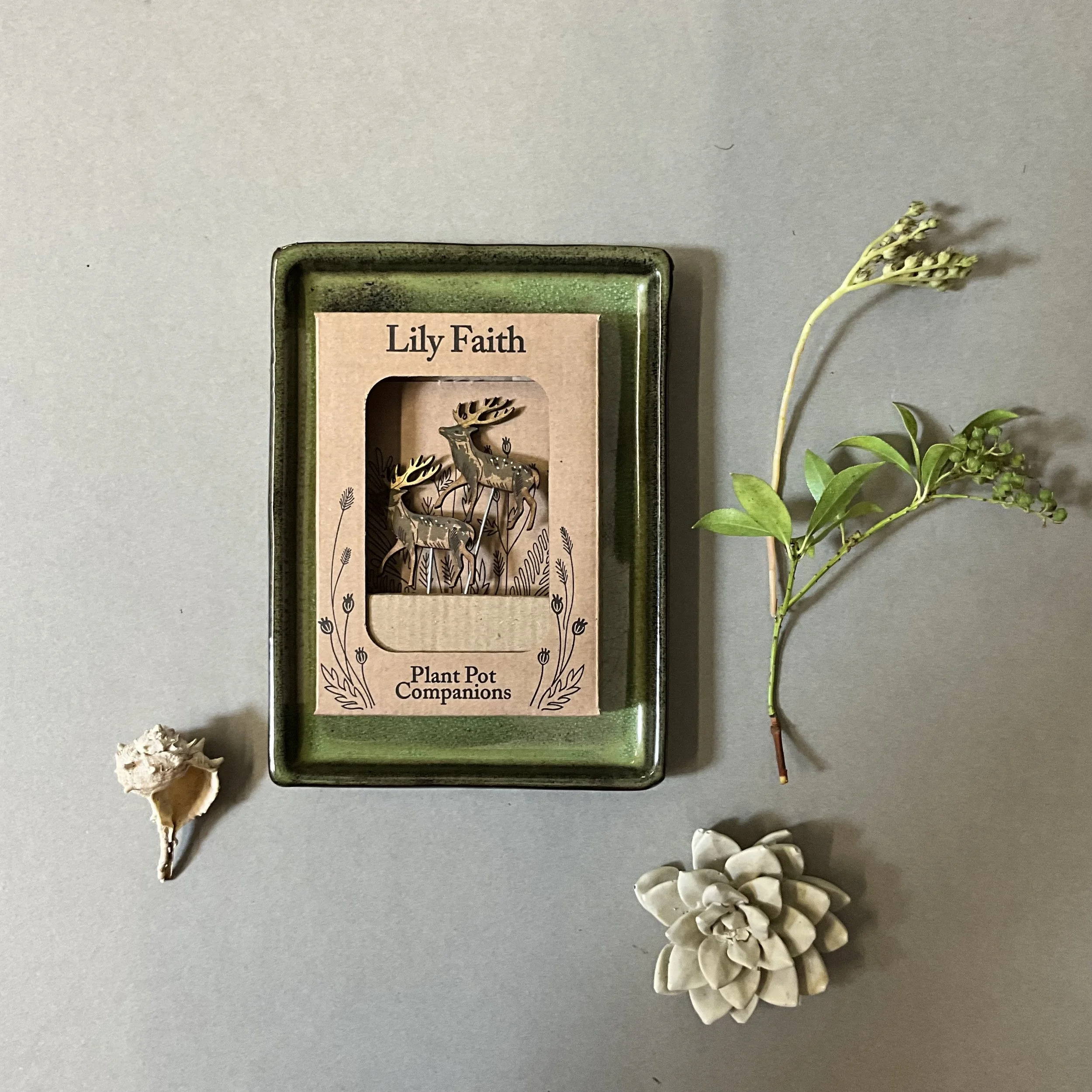 Framed in their own unique box featuring Lily's hand drawn illustrations, the Stag plant pot companions make for a wonderful stocking filler or postable gift.